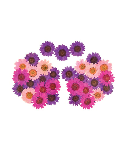 Neva Nude Garden Goddess Real Dried Pressed Flower Pasties – Pink O/S by Neva nude product image