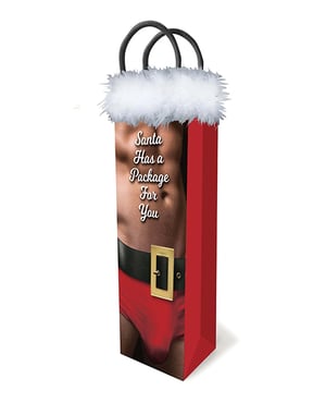 Santa Has A Big Package Gift Bag by Little Genie product image