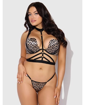 Devon Push Up Bra w/Harness & G-String 3 pc Set – Leopard MD – Leopard 1X, 2X by House of Desire product image