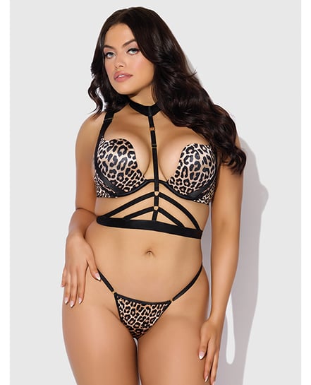 Devon Push Up Bra w/Harness & G-String 3 pc Set – Leopard MD – Leopard 1X, 2X by House of Desire product image