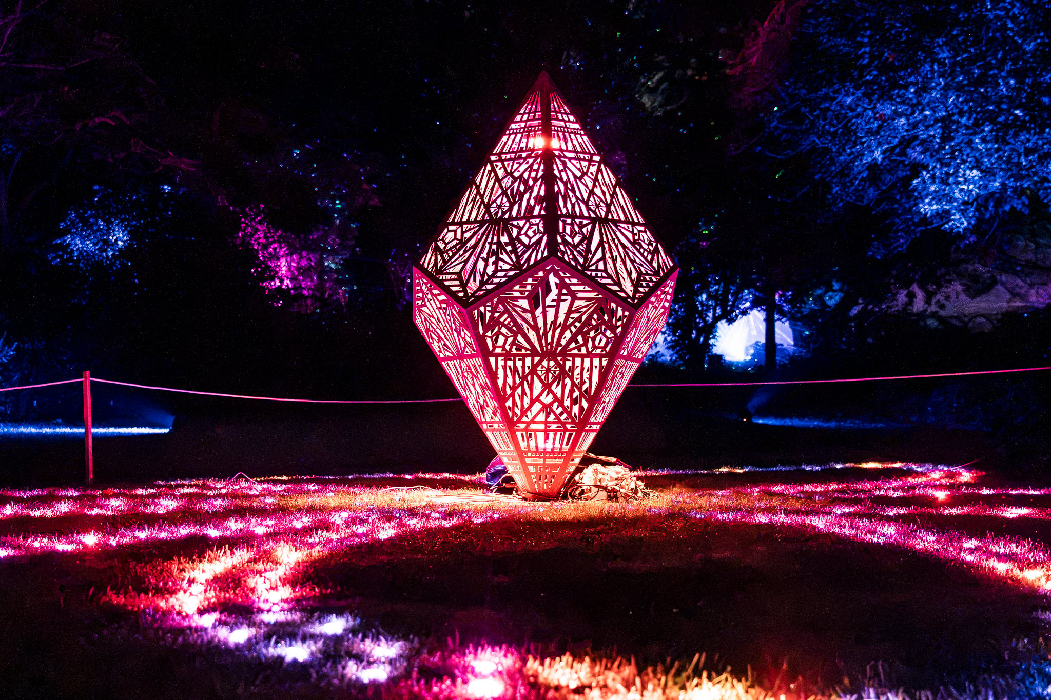 In Bloom Lightshow - Geelong Botanical Gardens