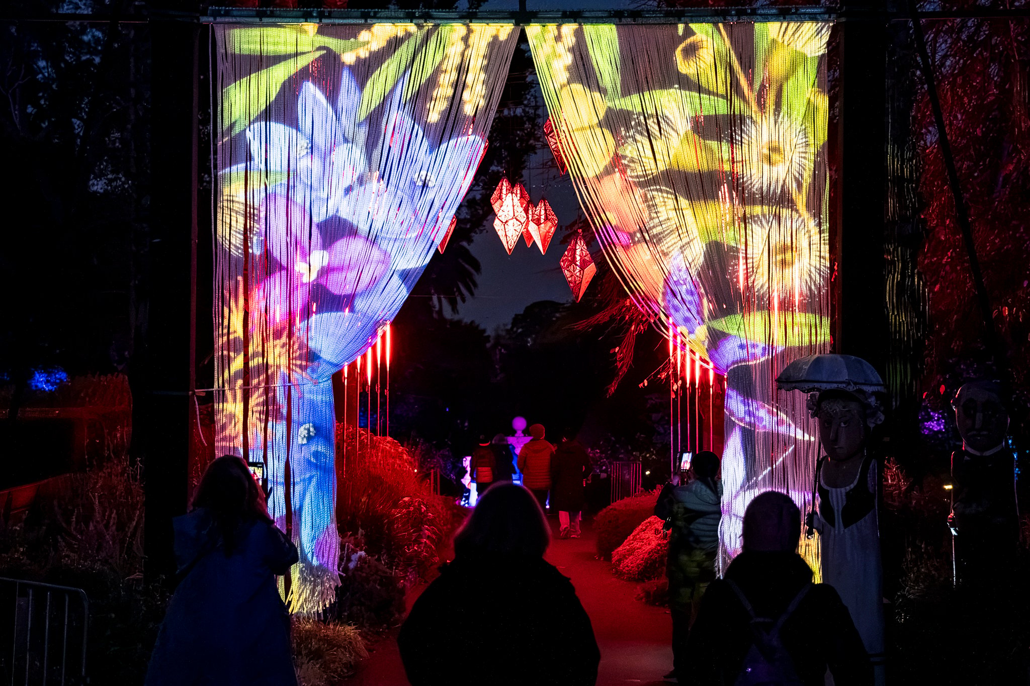 In Bloom Lightshow - Geelong Botanical Gardens