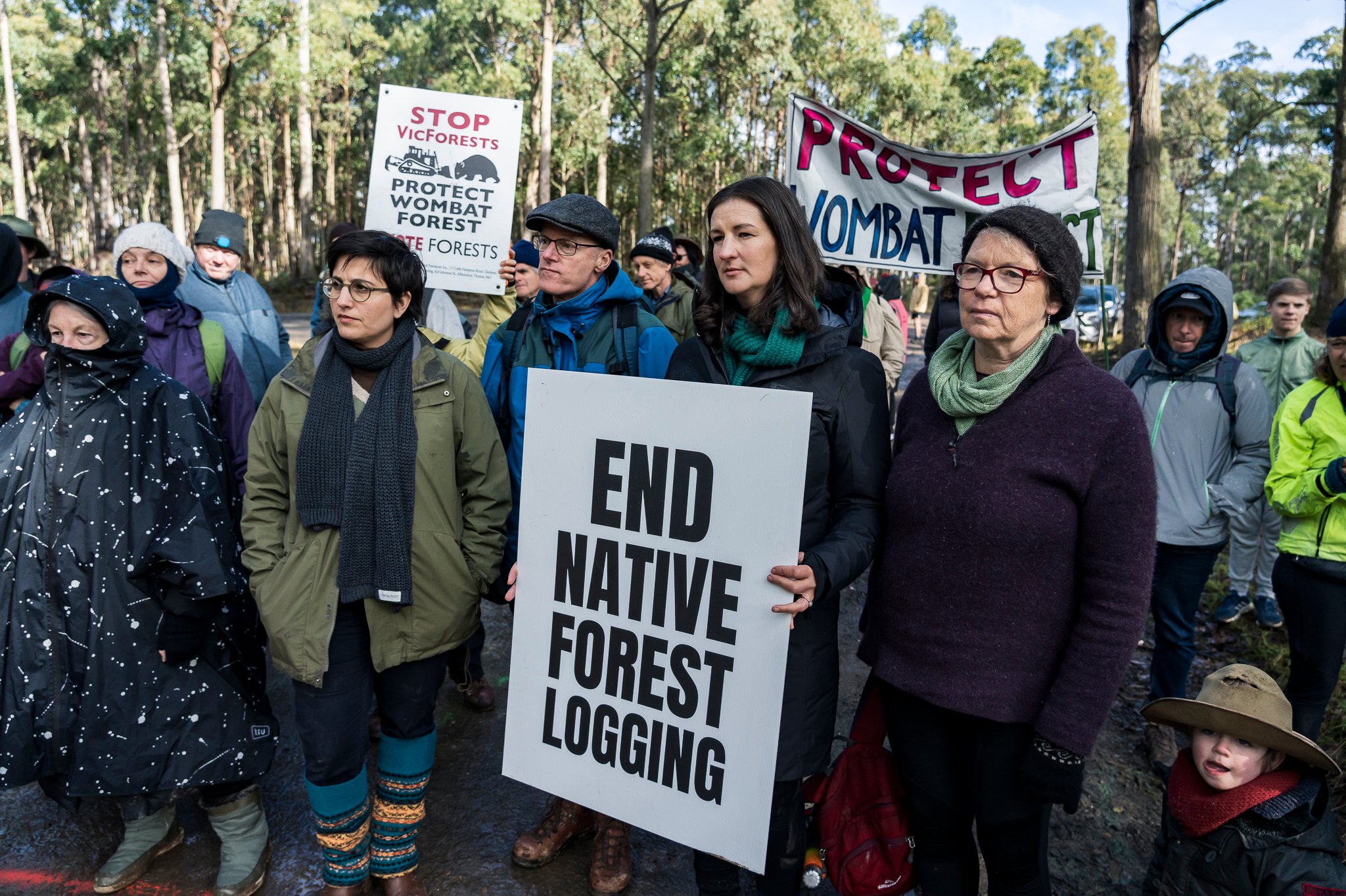 Wombat State Forest mass survey