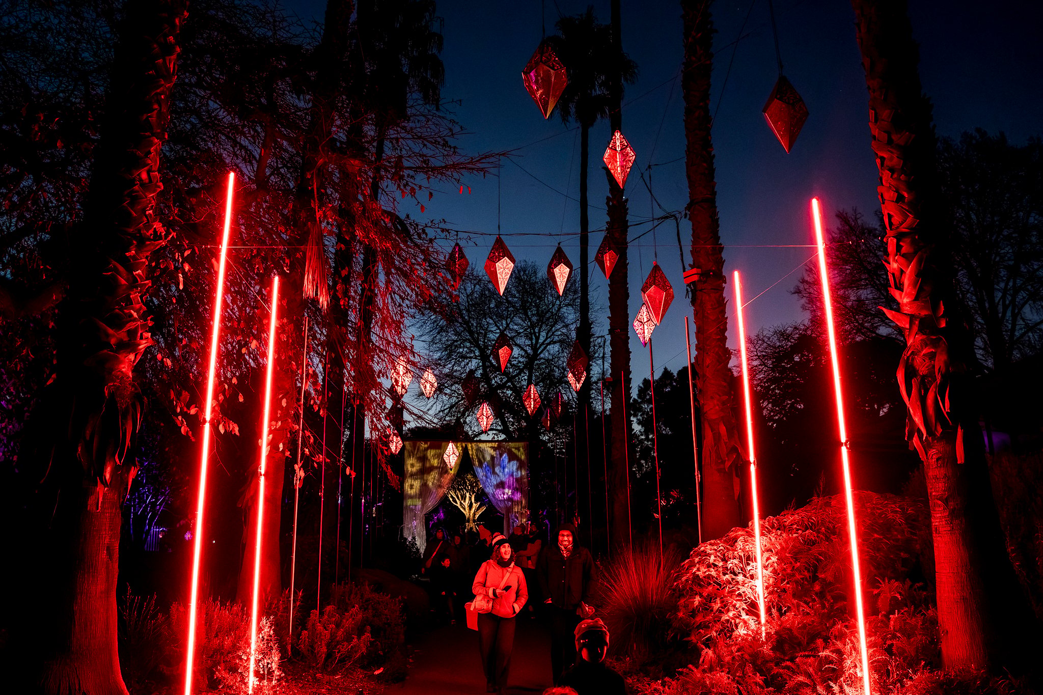 In Bloom Lightshow - Geelong Botanical Gardens