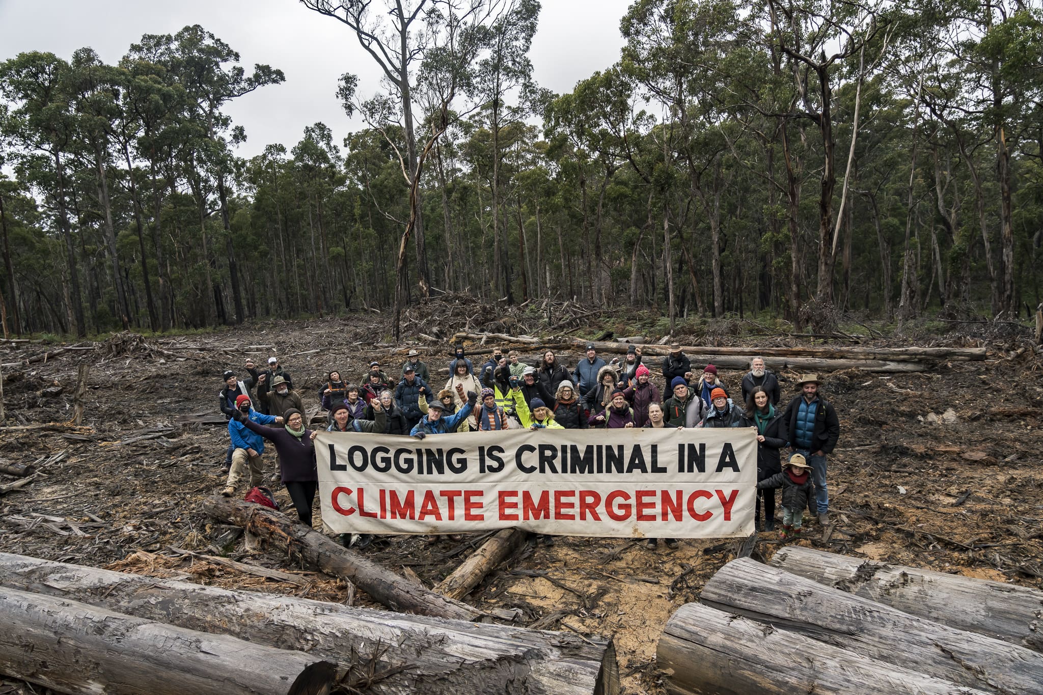 Forest defenders gather at Wombat State Forest. Photo: Matt Hrkac