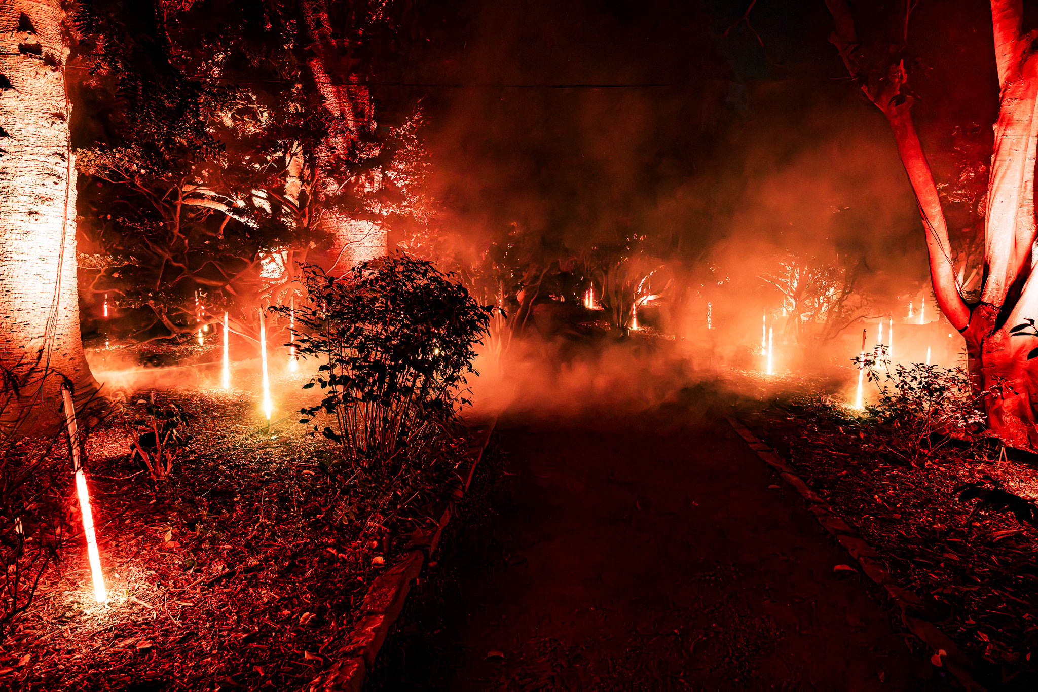 In Bloom Lightshow - Geelong Botanical Gardens