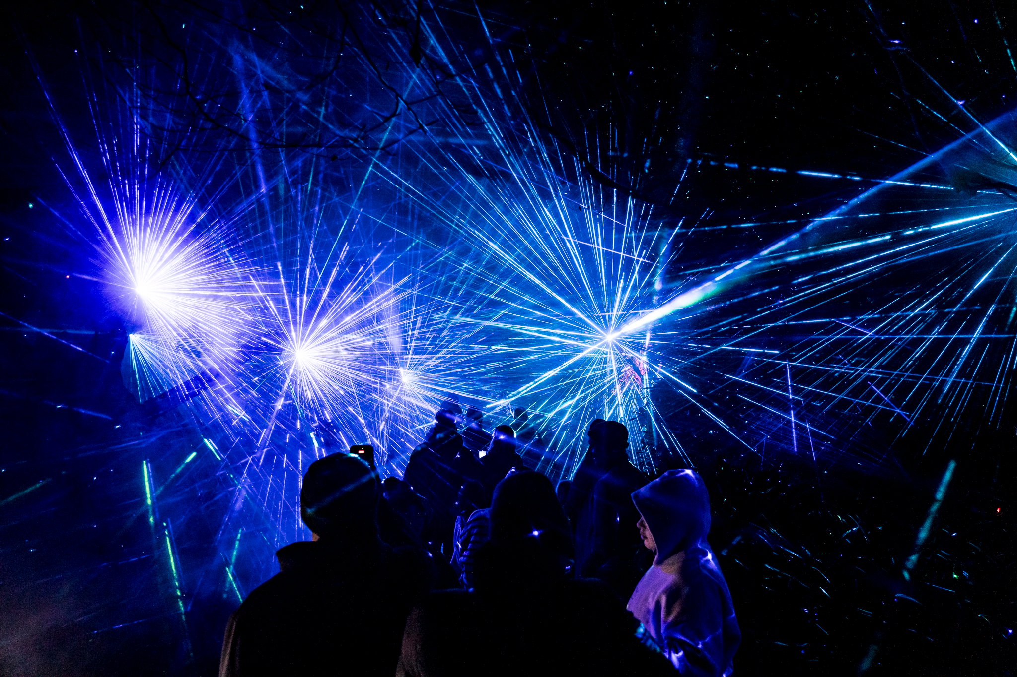 In Bloom Lightshow - Geelong Botanical Gardens