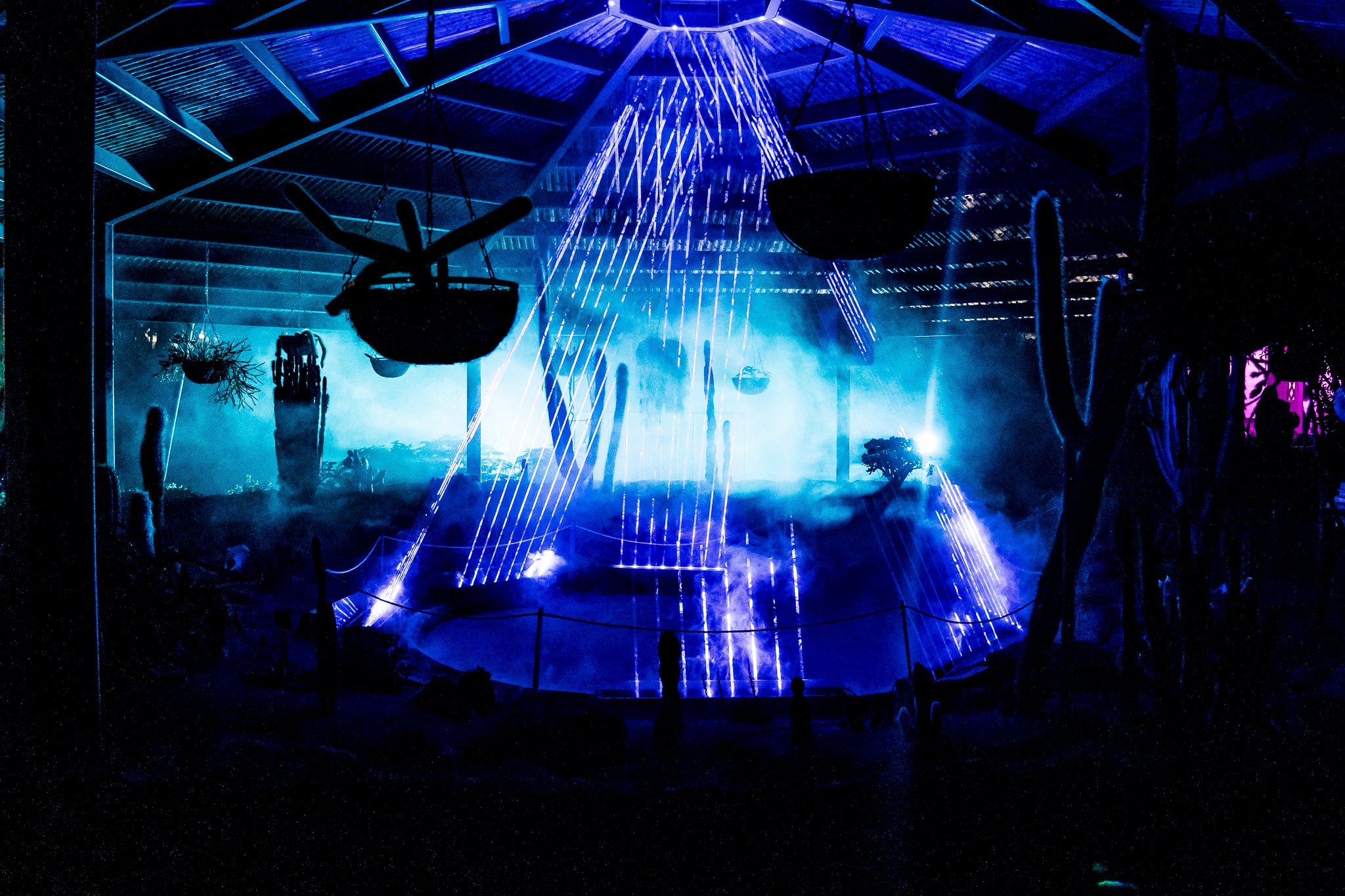In Bloom Lightshow - Geelong Botanical Gardens