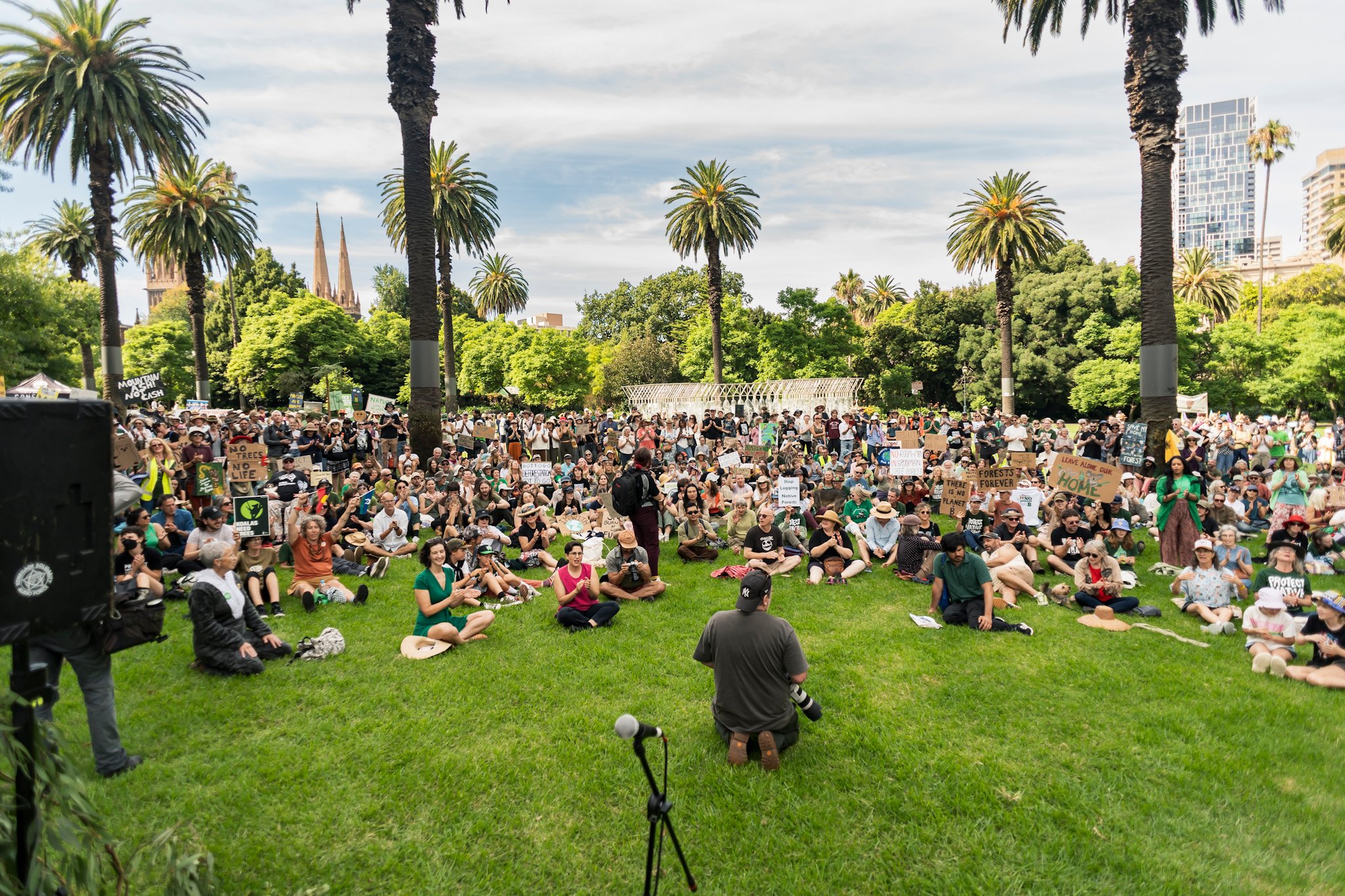 March in March for Forests
