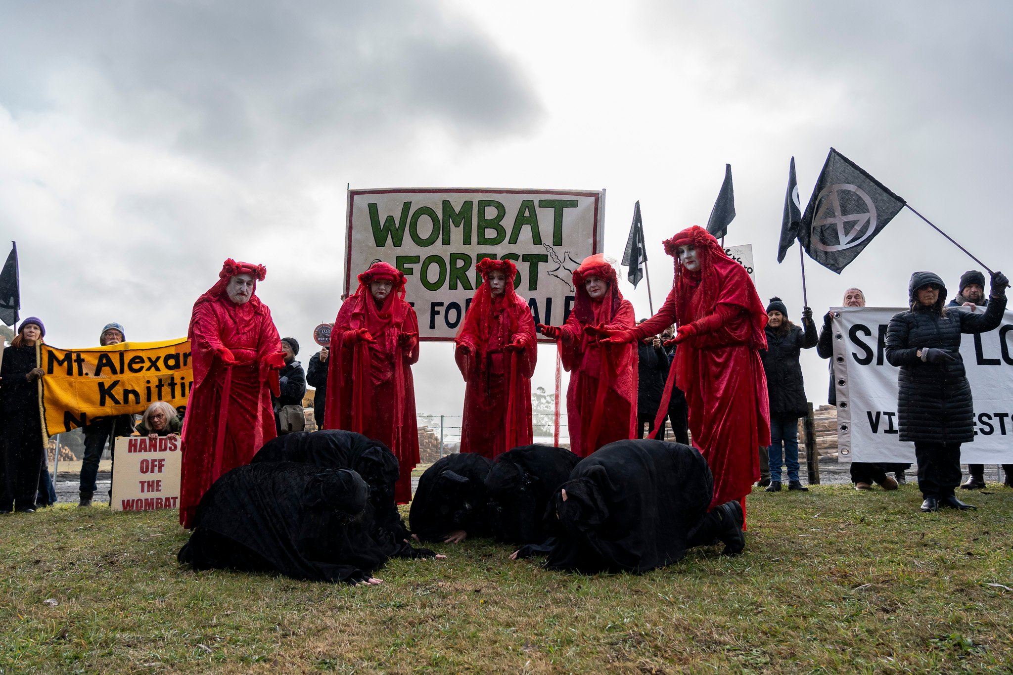 Wombat State Forest stunt to raise awareness of salvage logging