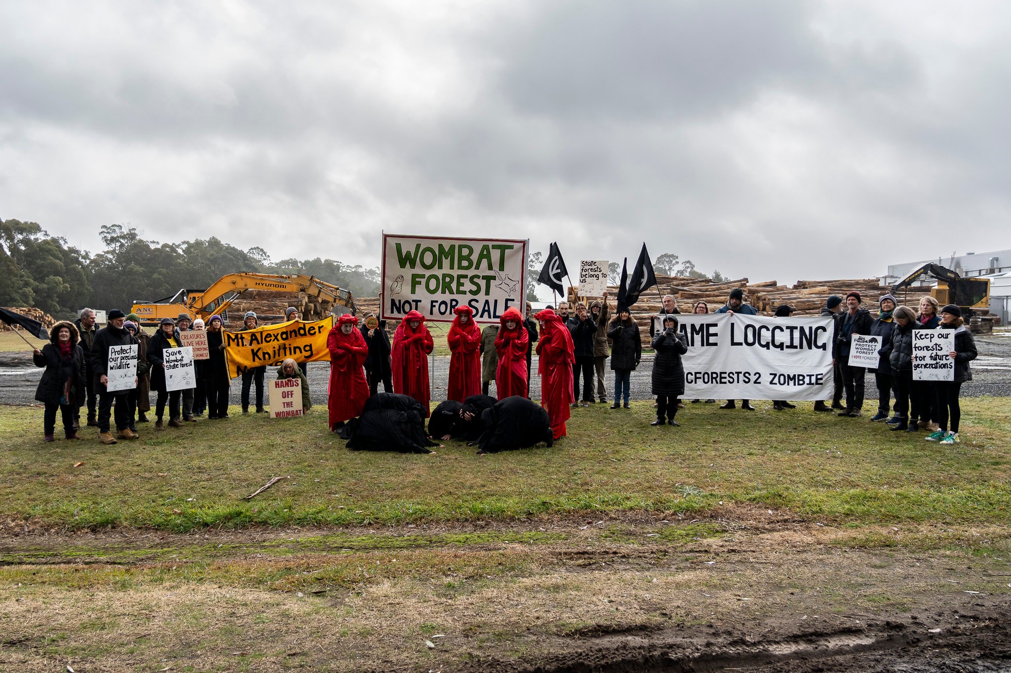 Wombat State Forest stunt to raise awareness of salvage logging