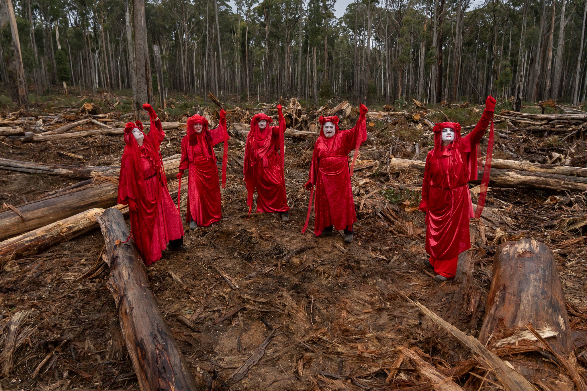 Wombat State Forest stunt to raise awareness of salvage logging
