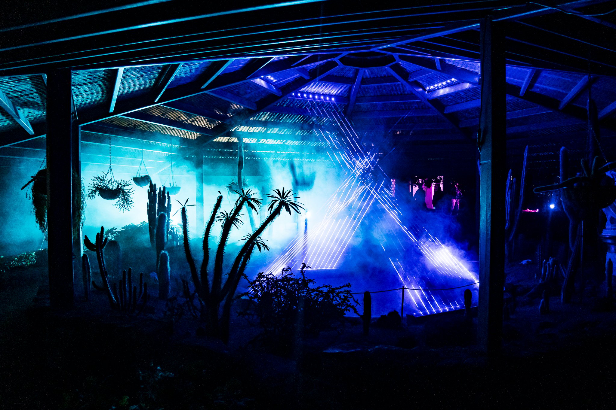In Bloom Lightshow - Geelong Botanical Gardens