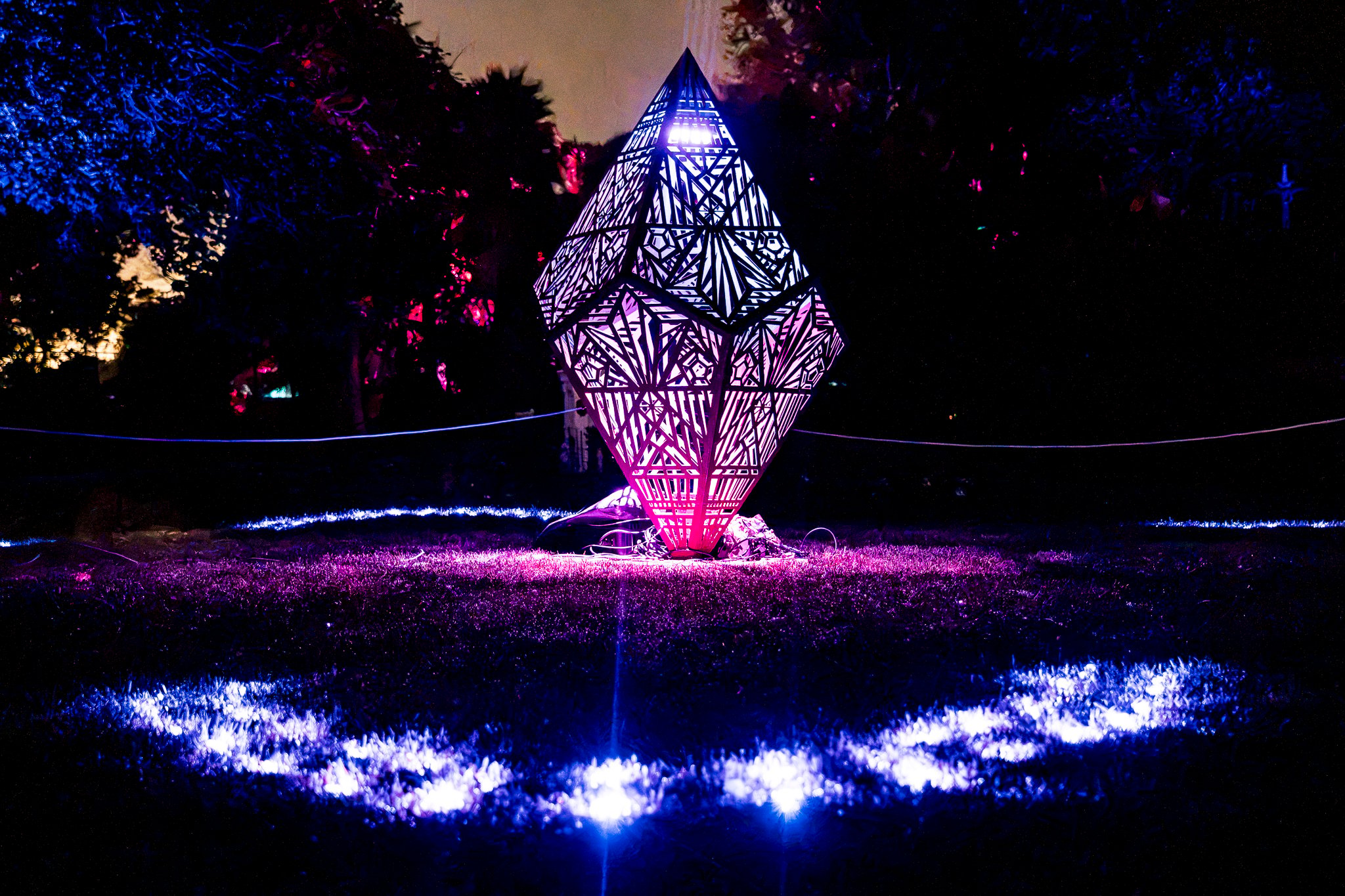 In Bloom Lightshow - Geelong Botanical Gardens