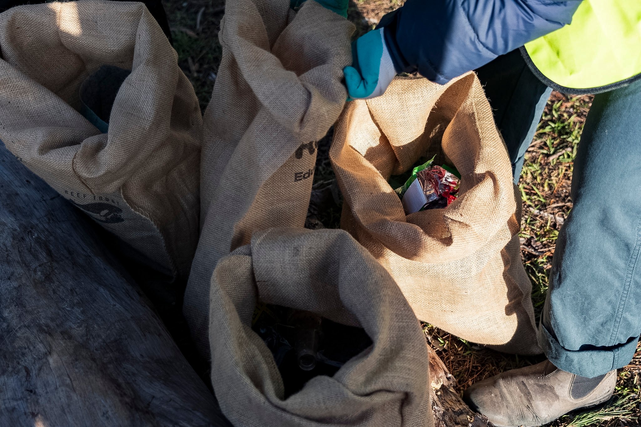 Sarah Mansfield park and beach clean up