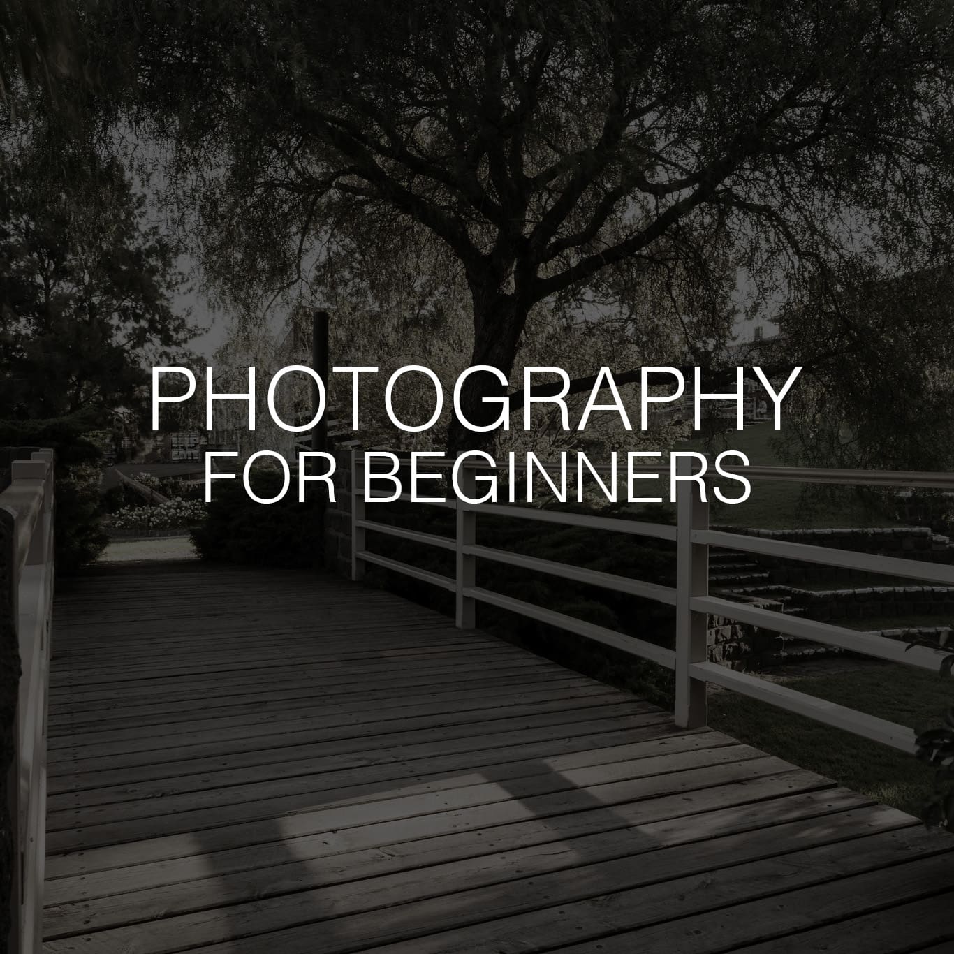 Photography for Beginners Workshop