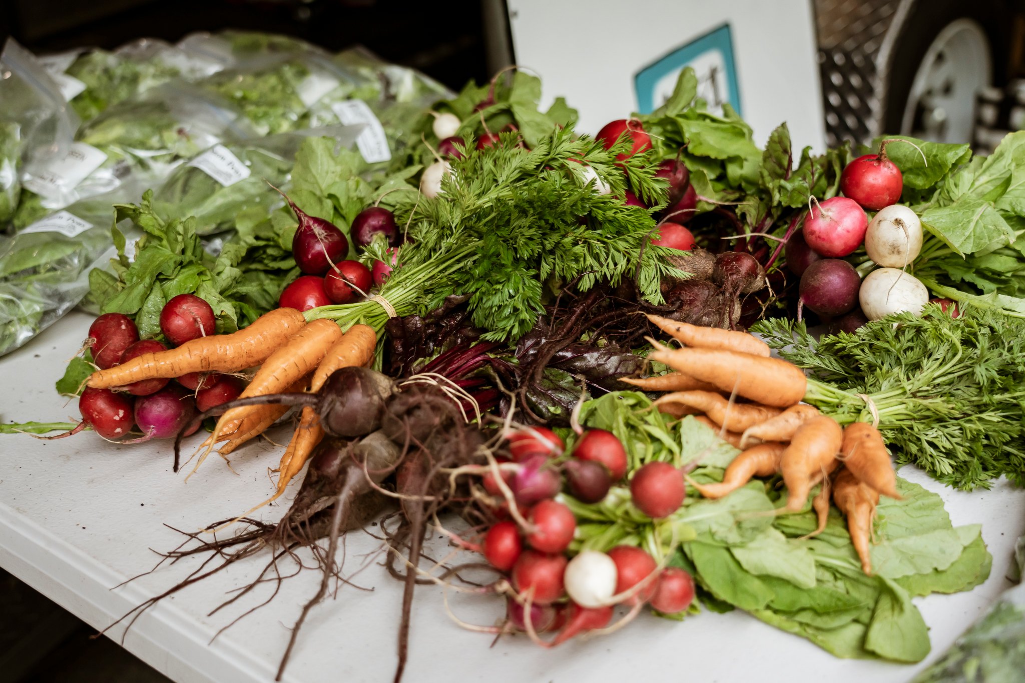 Geelong City Market 6 December 2025