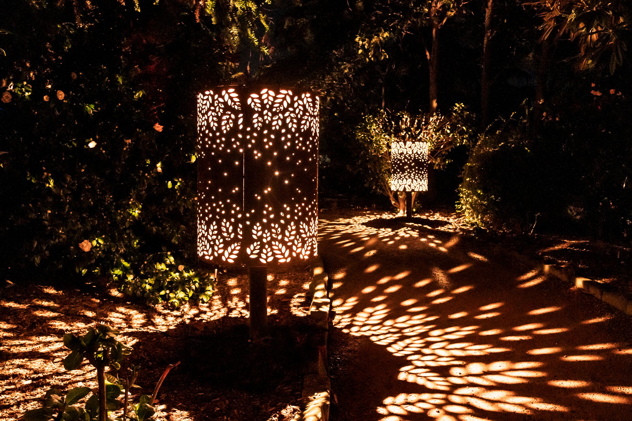 In Bloom Lightshow - Geelong Botanical Gardens
