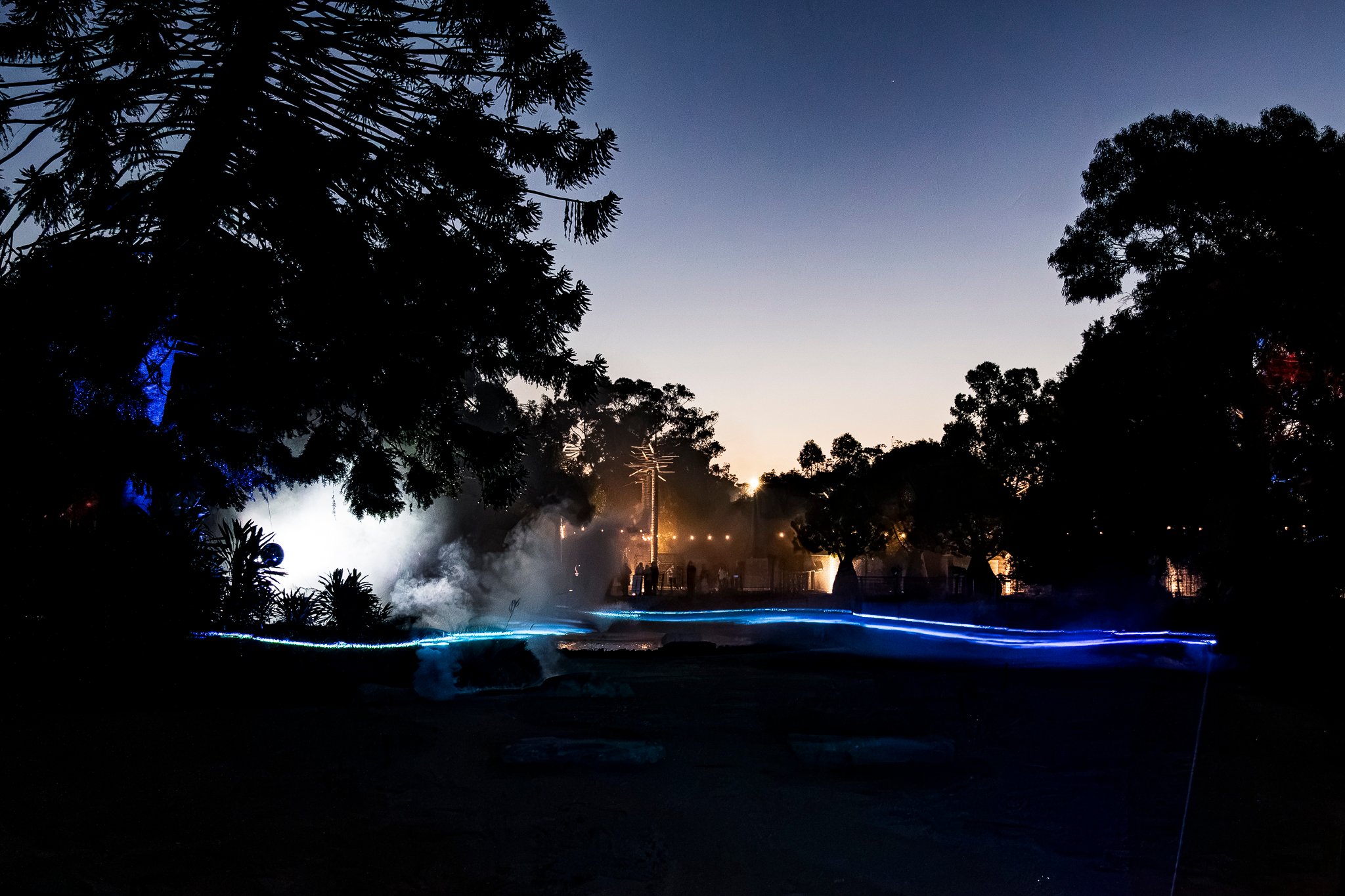 In Bloom Lightshow - Geelong Botanical Gardens