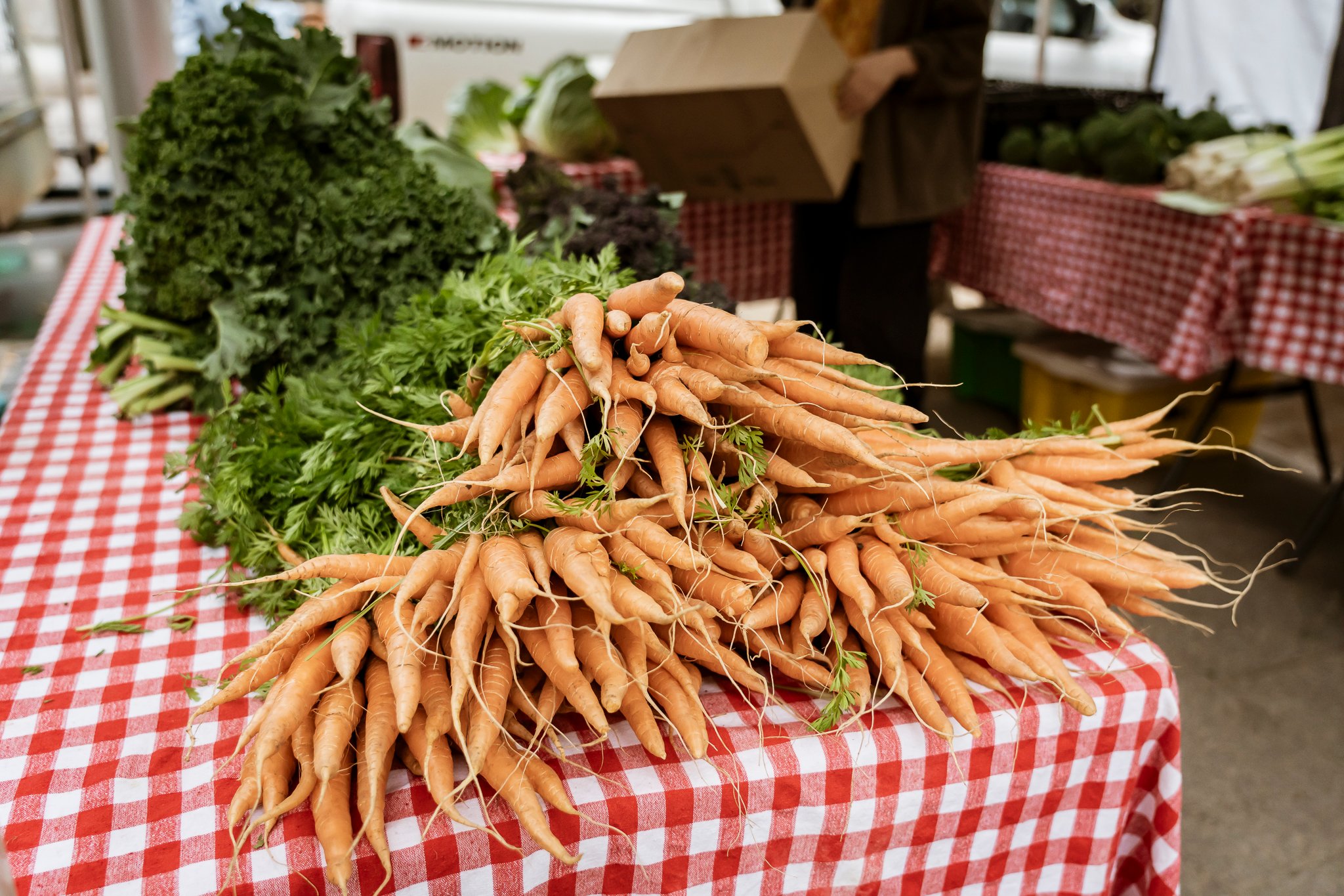 Geelong City Market 6 December 2025