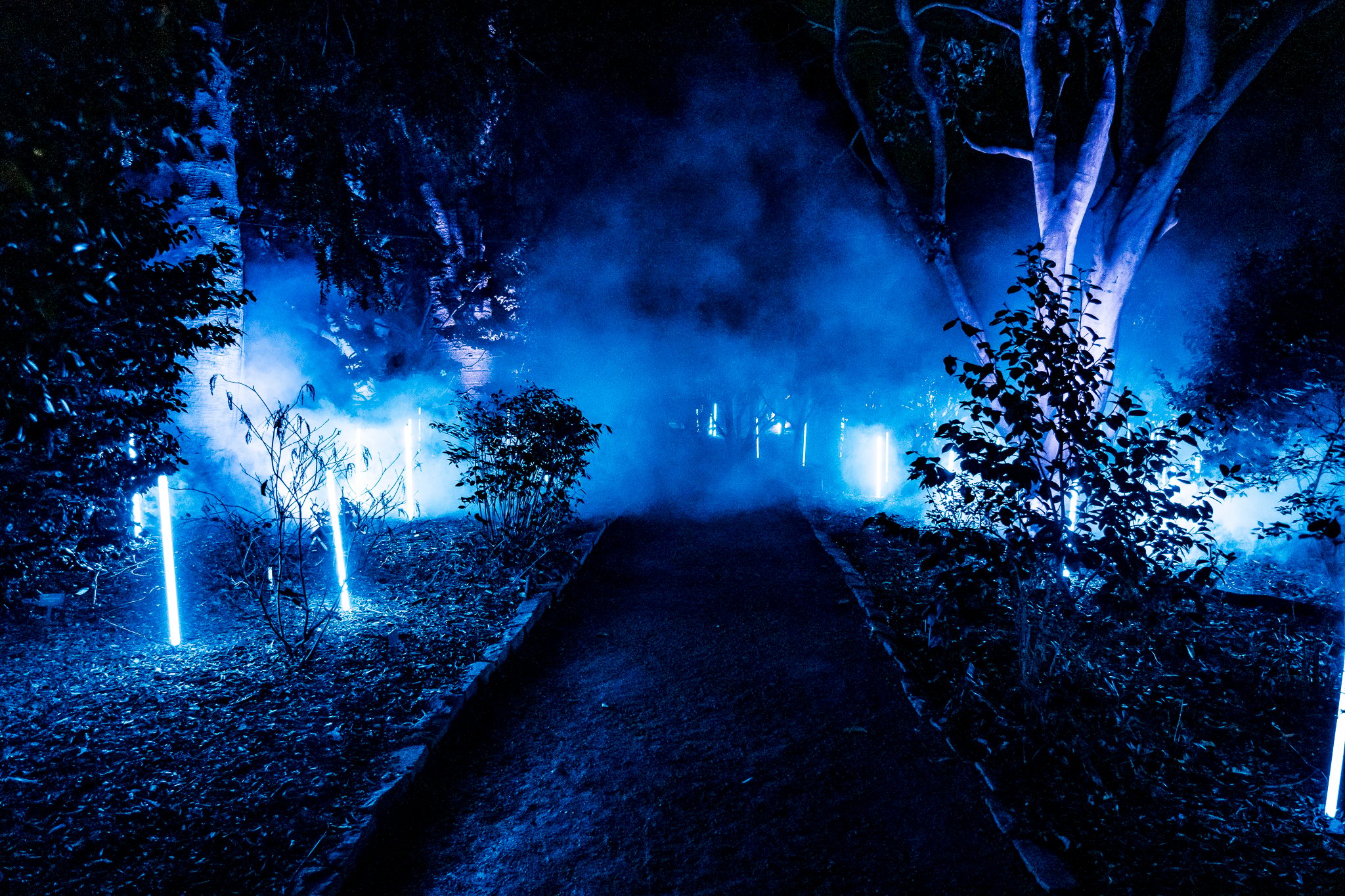In Bloom Lightshow - Geelong Botanical Gardens