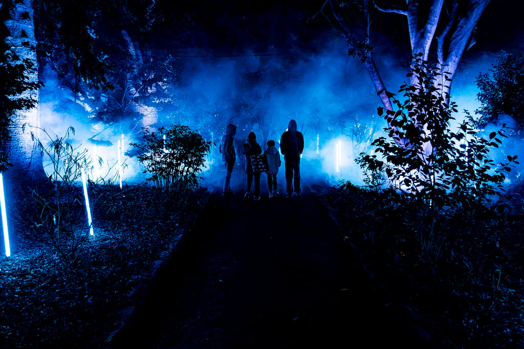 In Bloom Lightshow - Geelong Botanical Gardens
