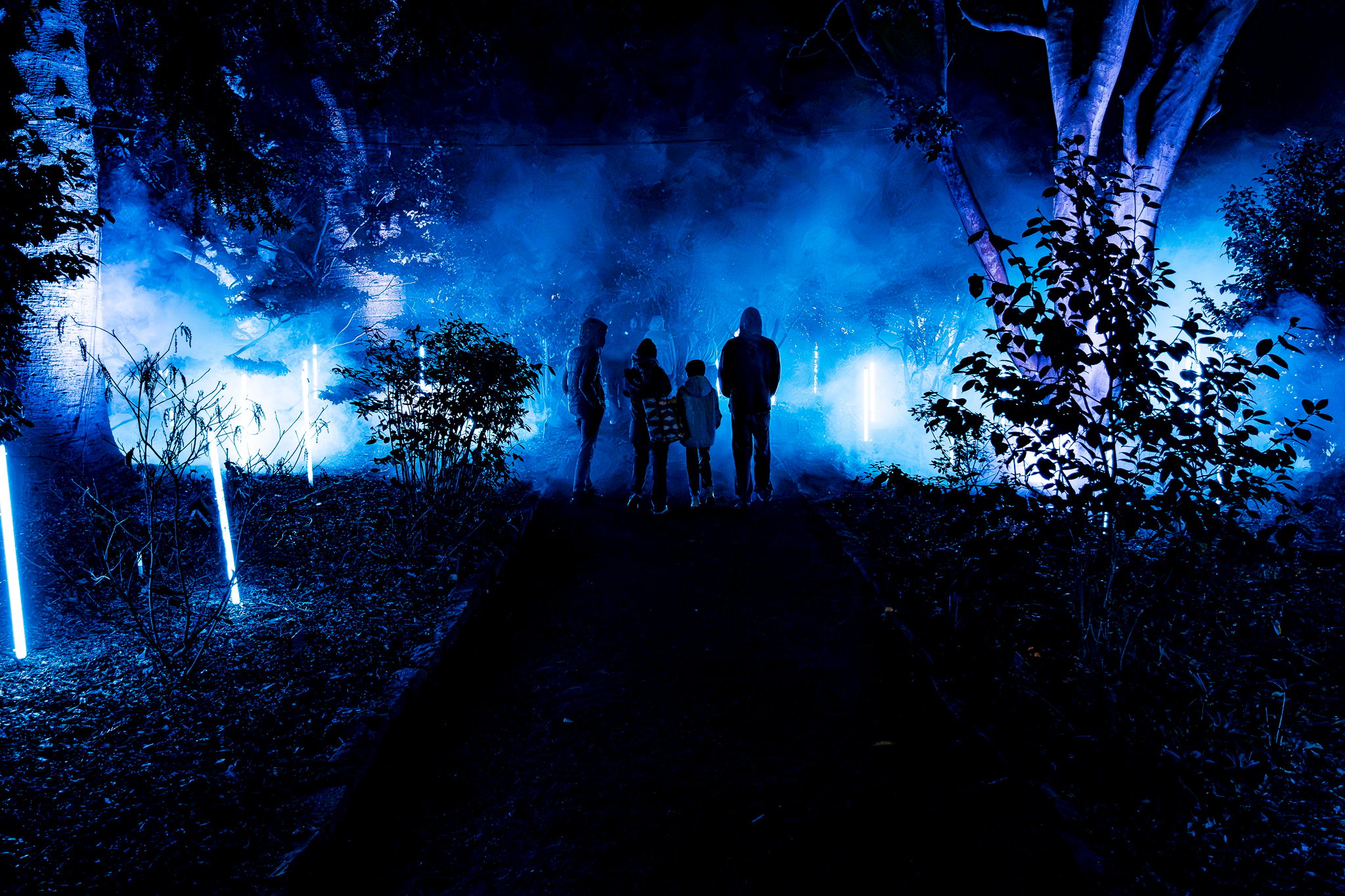 In Bloom Lightshow - Geelong Botanical Gardens