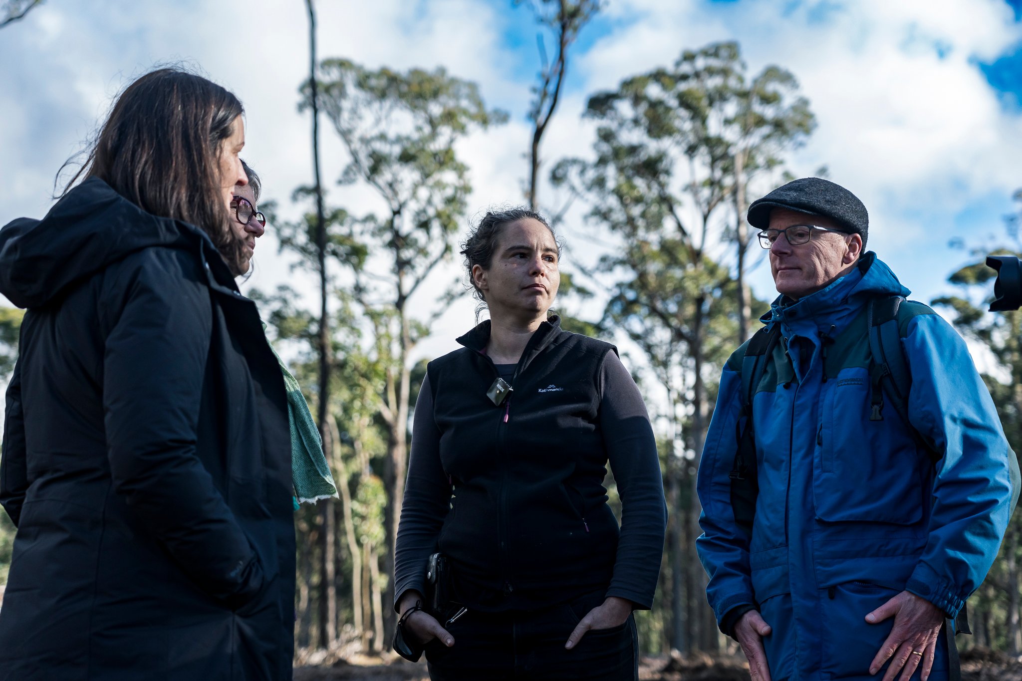 Wombat State Forest mass survey
