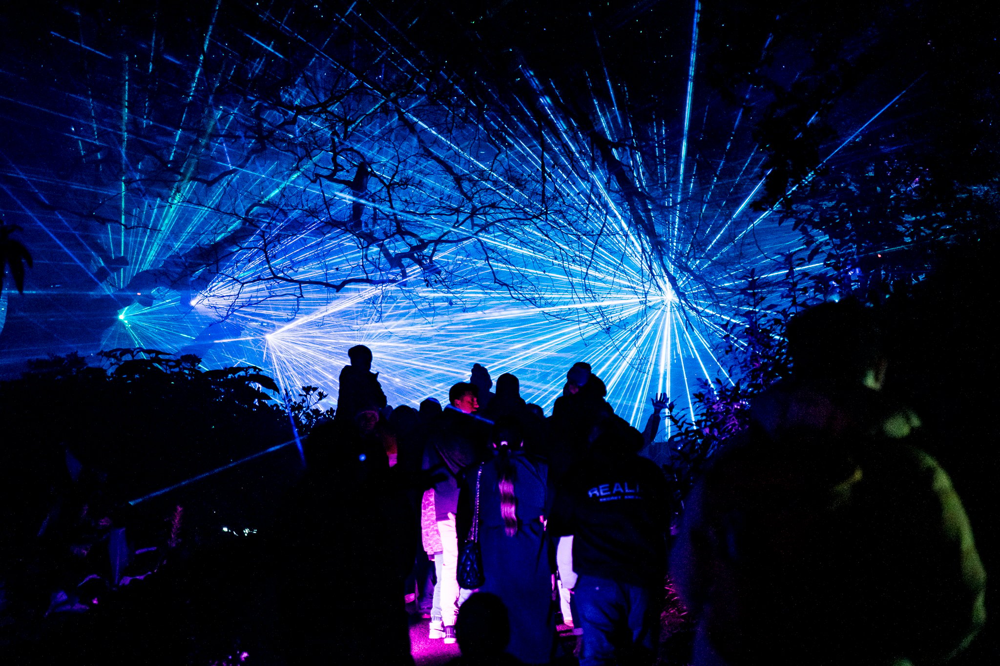 In Bloom Lightshow - Geelong Botanical Gardens