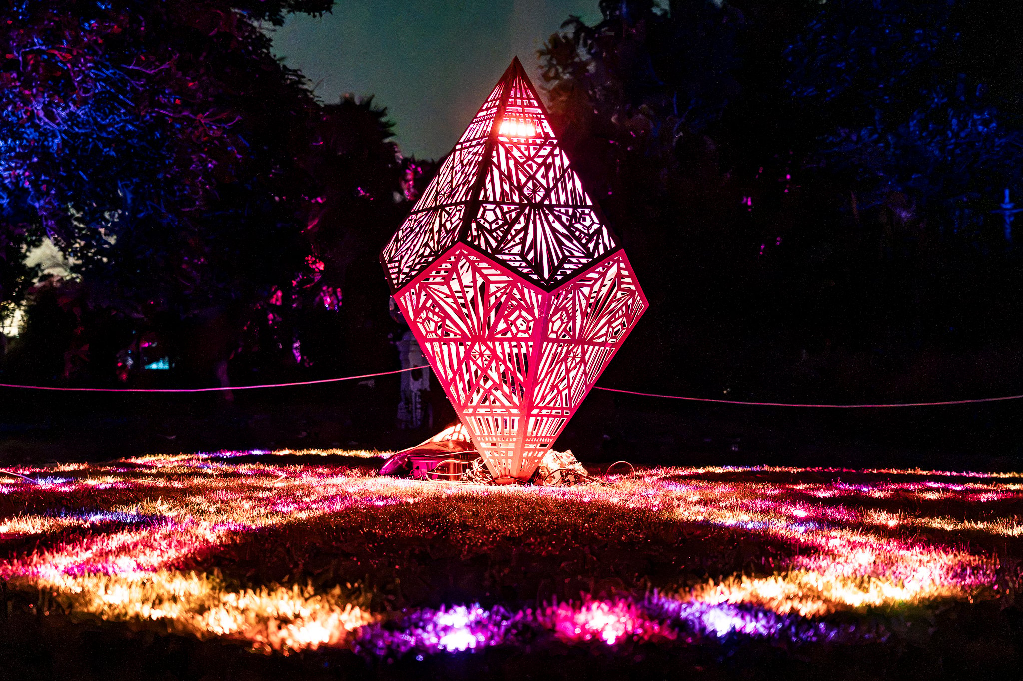 In Bloom Lightshow - Geelong Botanical Gardens