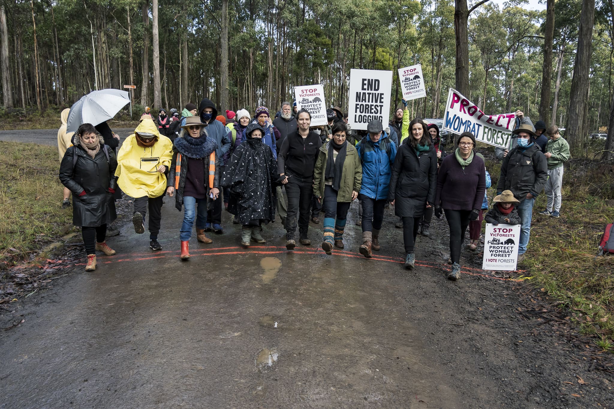 Stepping over the red line marking the 'out of bounds' area entering the logging coup. Photo: Matt Hrkac