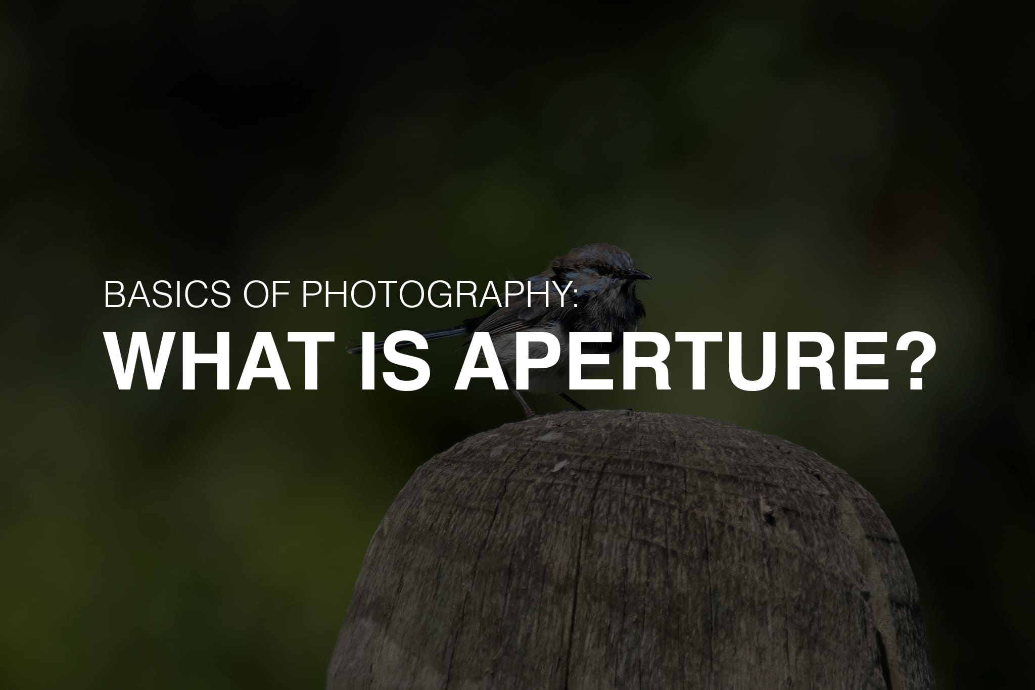 What is aperture in photography?