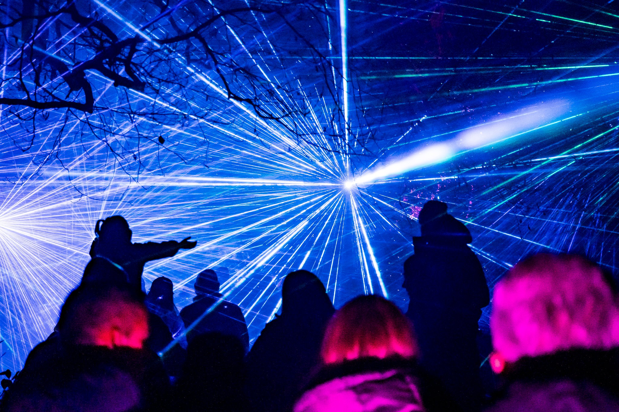 In Bloom Lightshow - Geelong Botanical Gardens