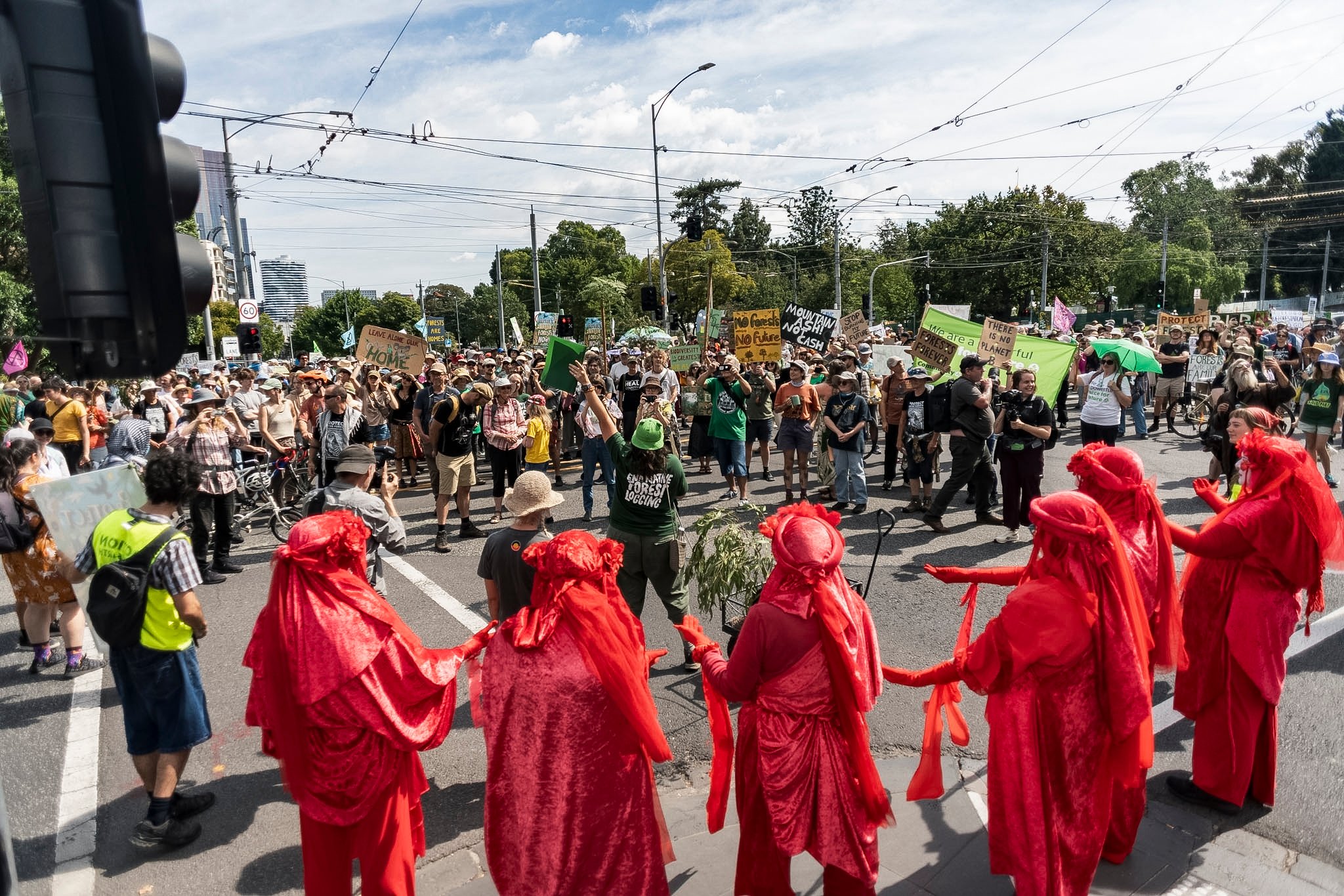 March in March for Forests
