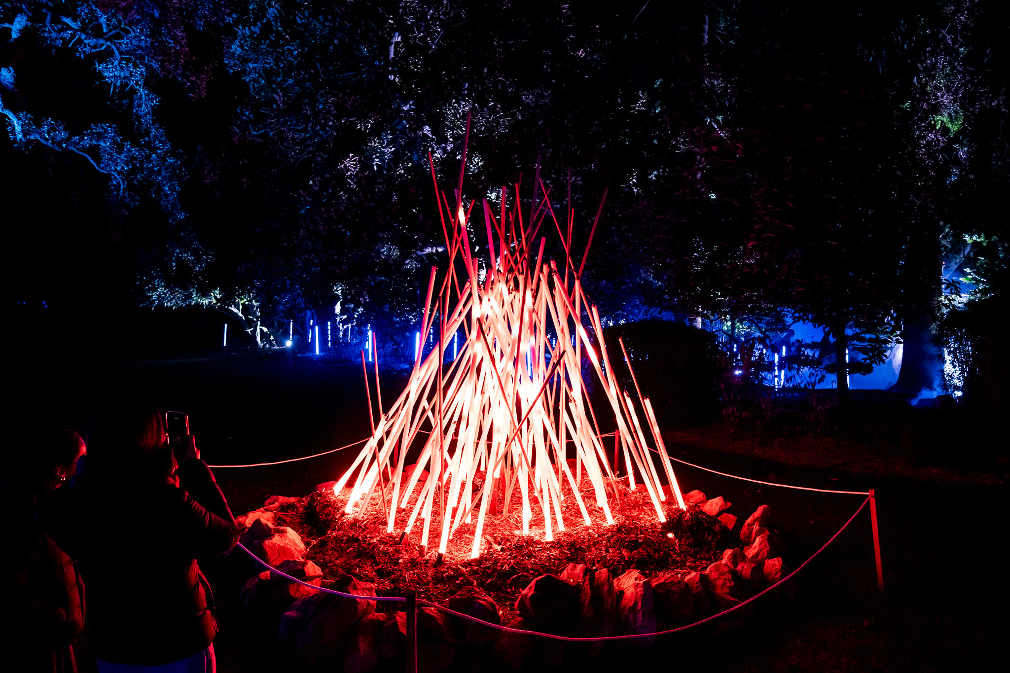 In Bloom Lightshow - Geelong Botanical Gardens
