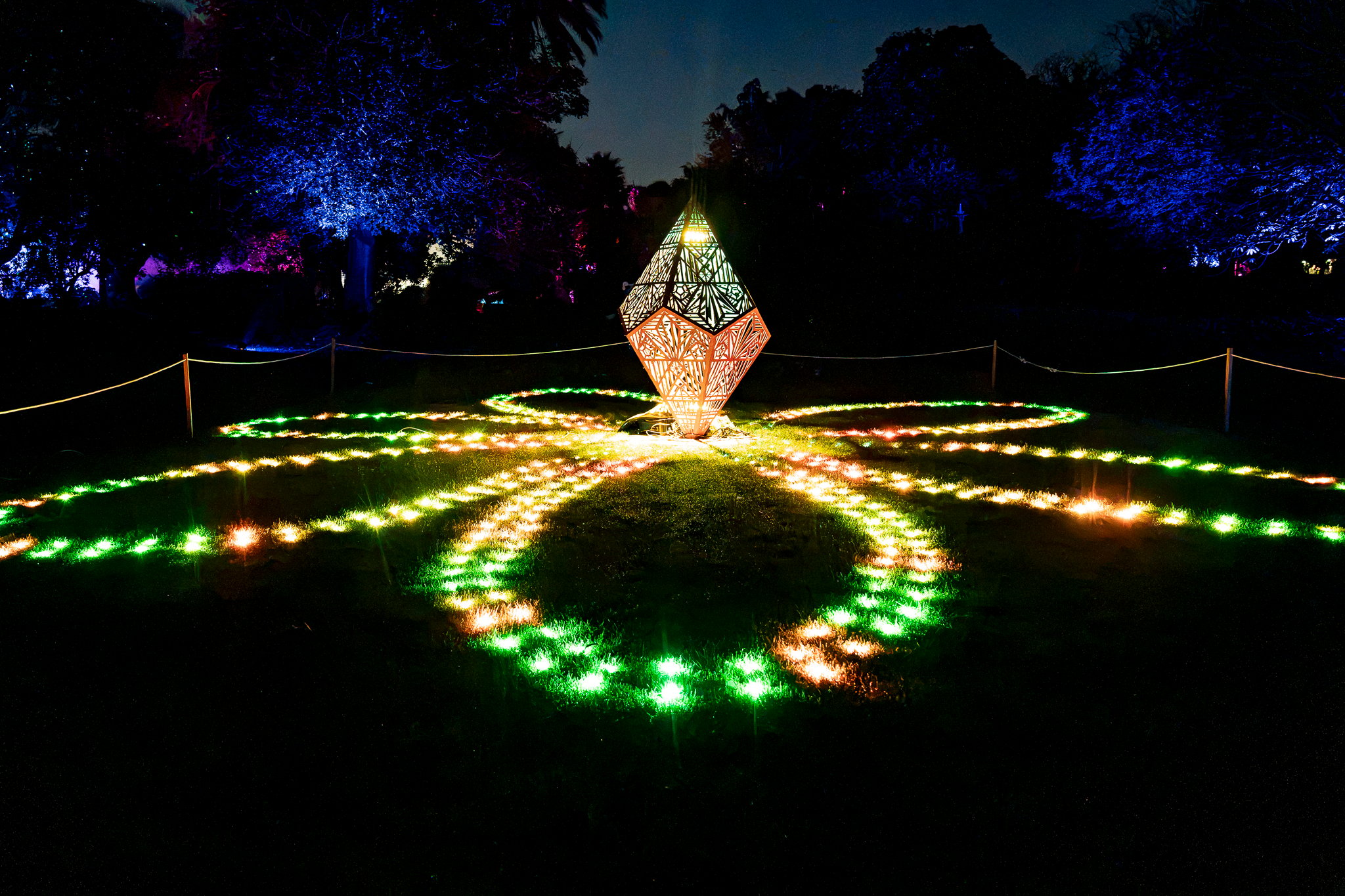 In Bloom Lightshow - Geelong Botanical Gardens