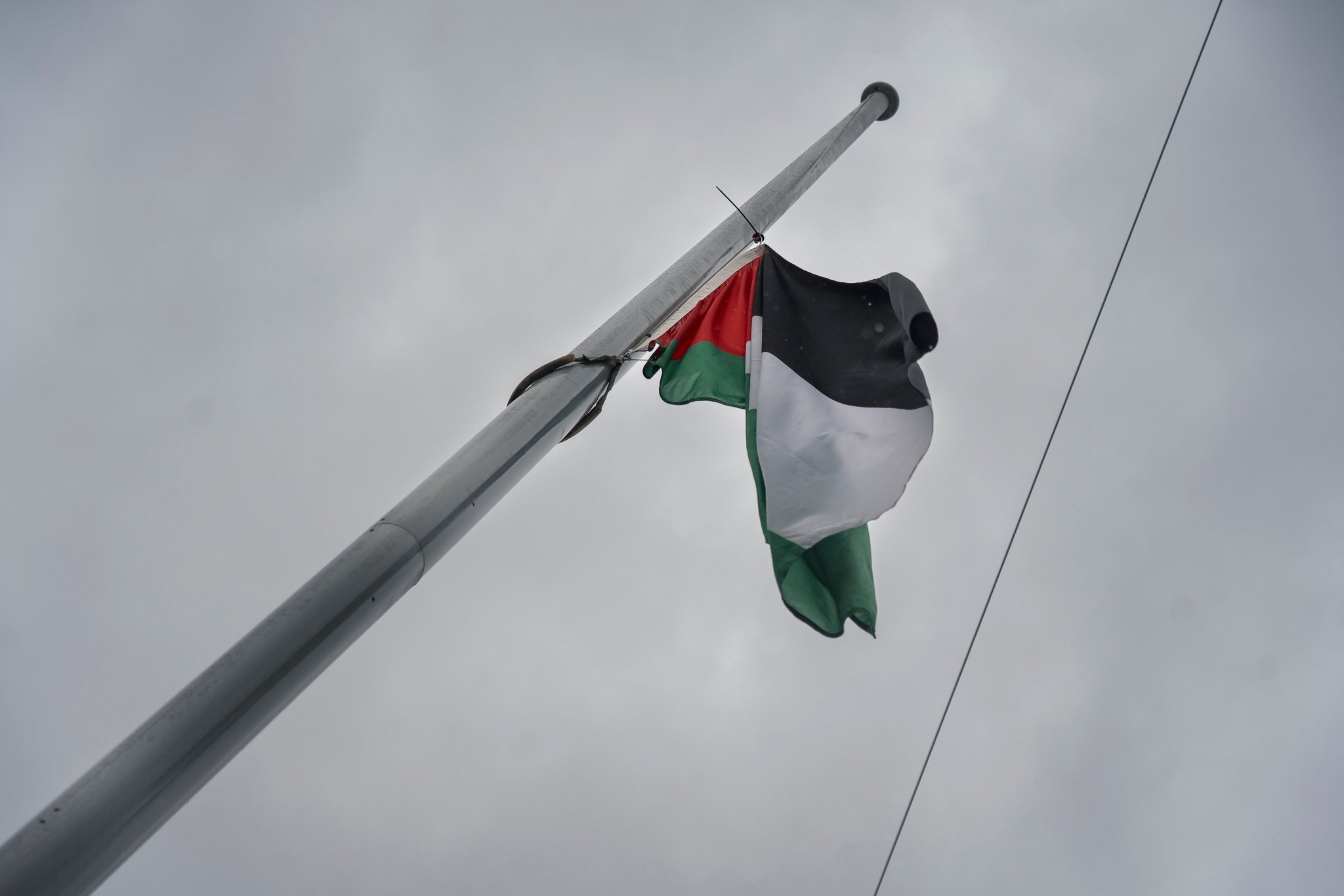 Palestine National Day 2025 - flag raising.