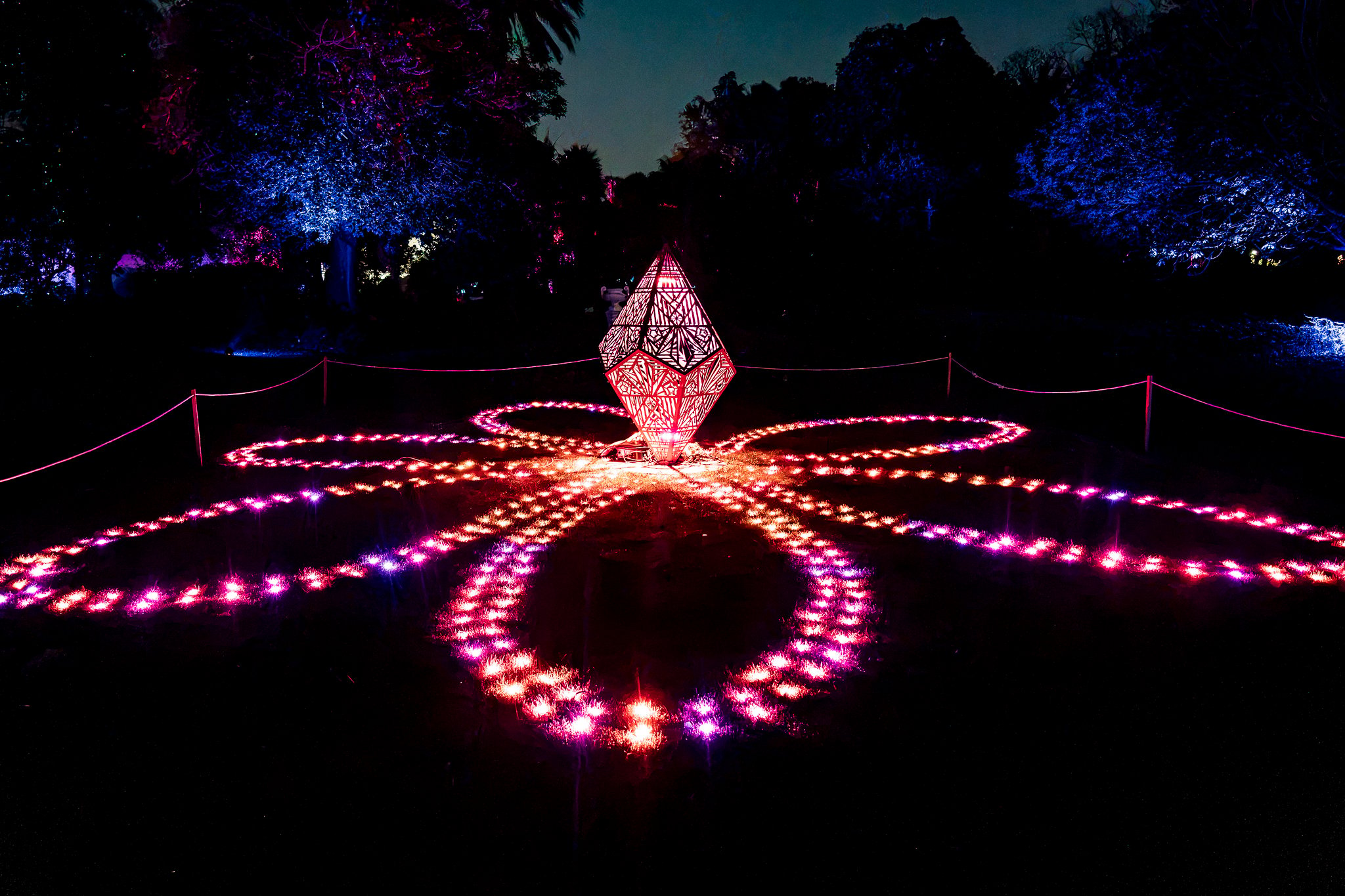 In Bloom Lightshow - Geelong Botanical Gardens