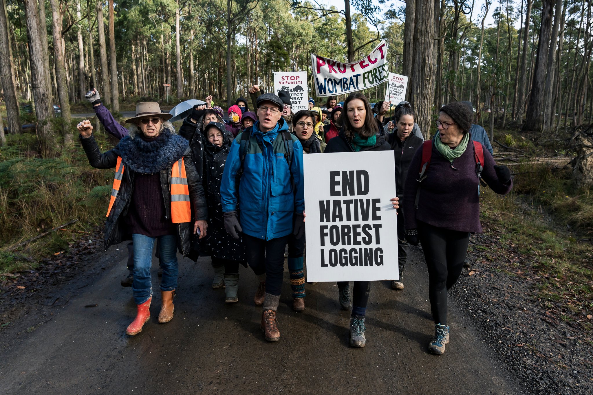 Wombat State Forest mass survey