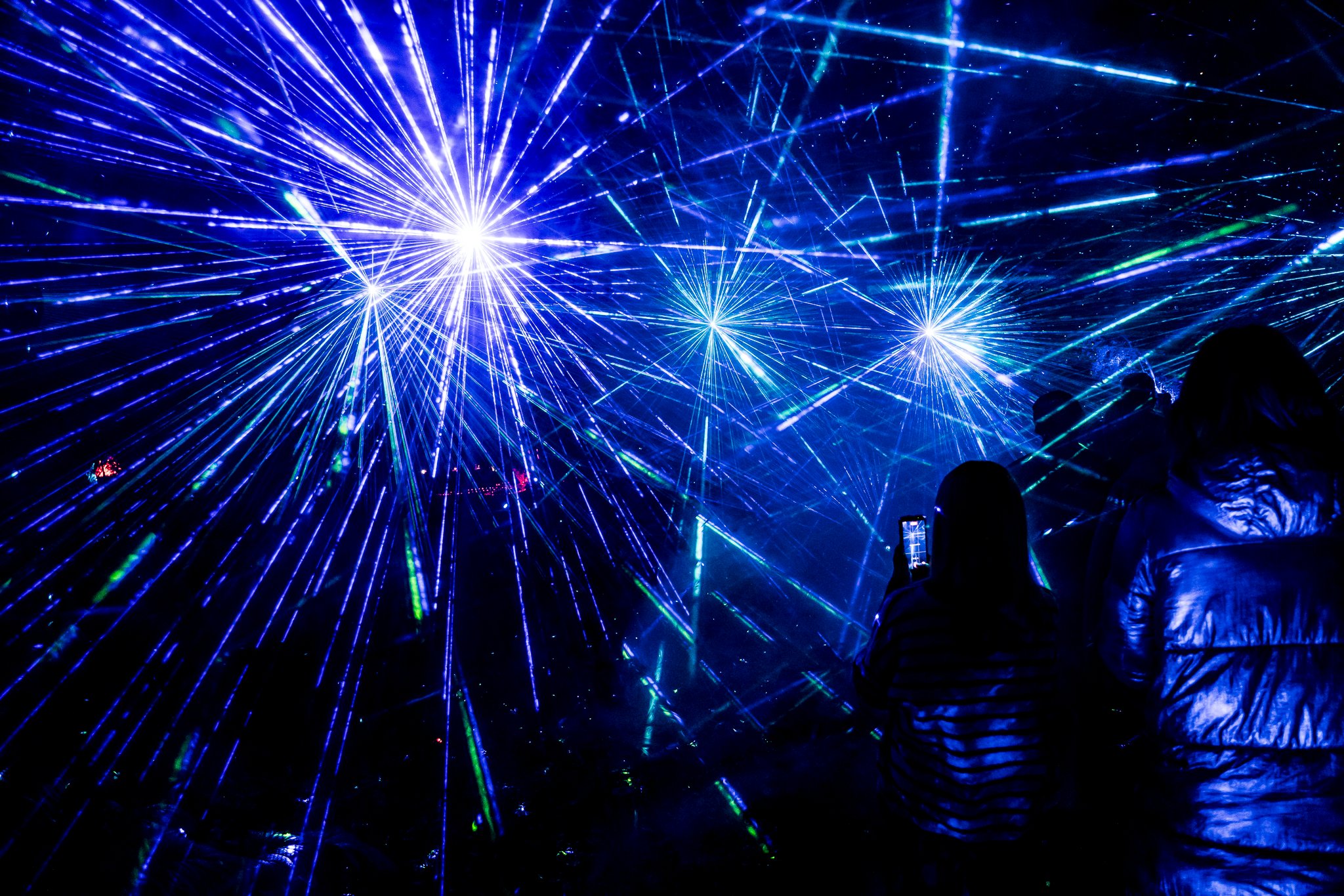 In Bloom Lightshow - Geelong Botanical Gardens