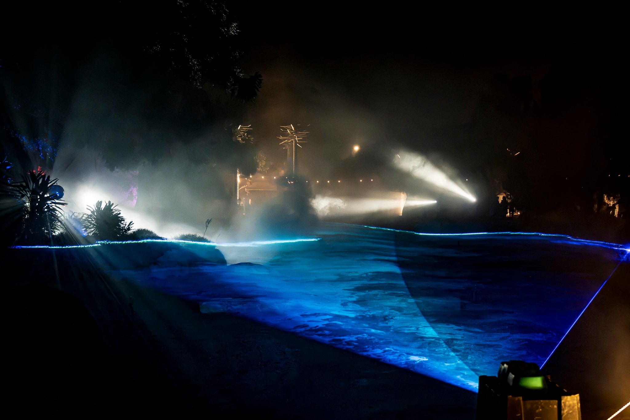 In Bloom Lightshow - Geelong Botanical Gardens