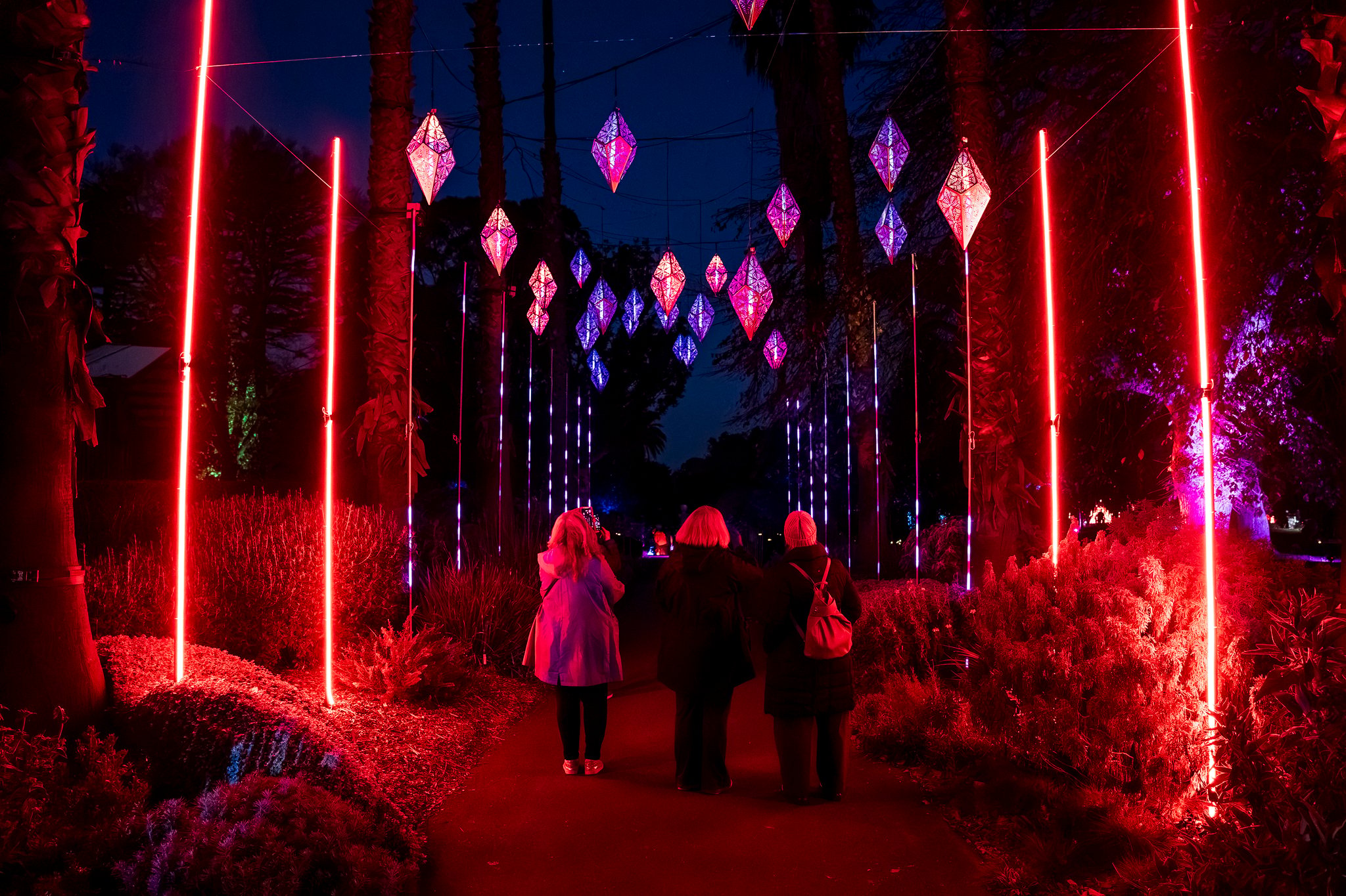In Bloom Lightshow - Geelong Botanical Gardens