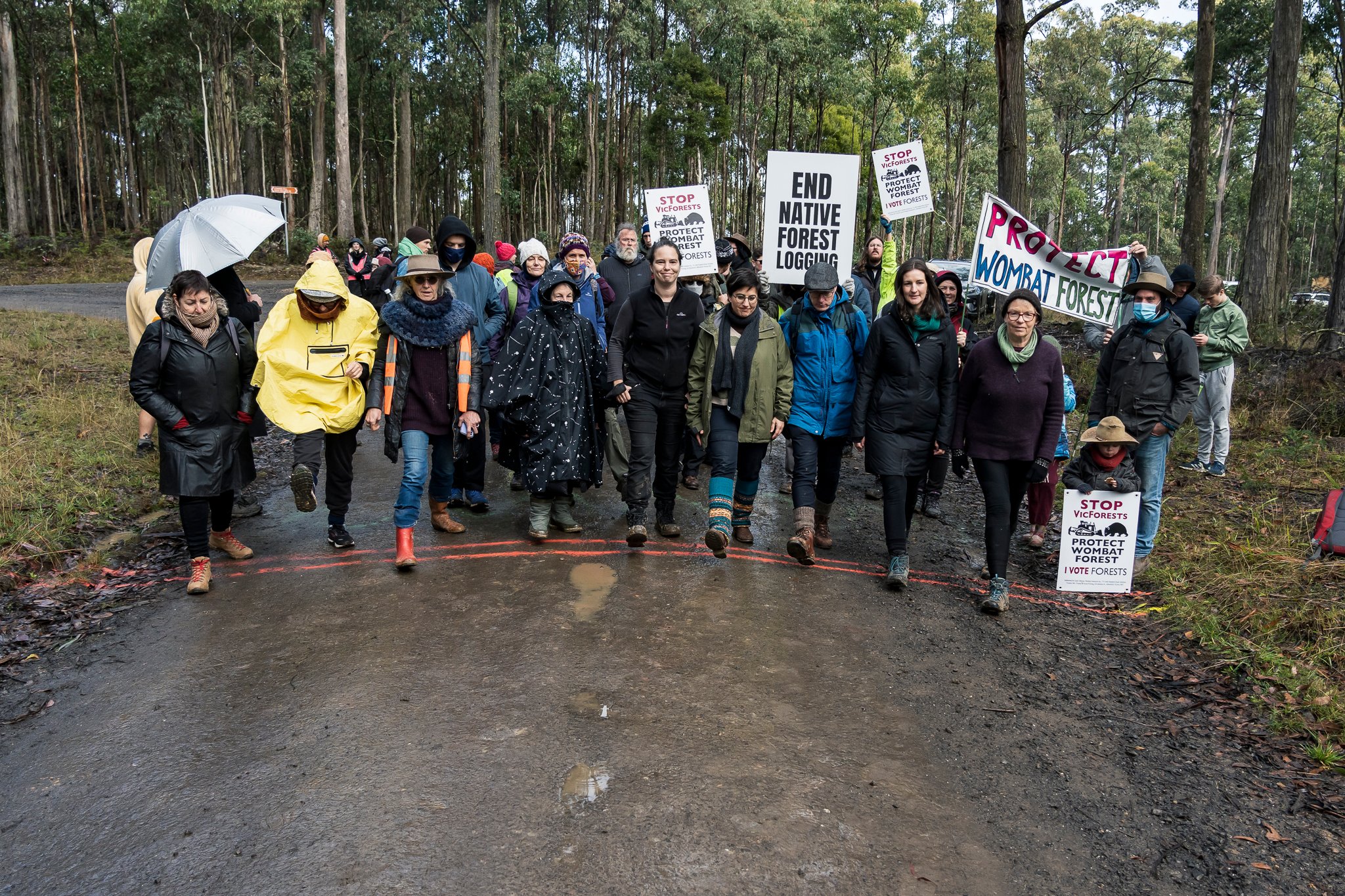 Wombat State Forest mass survey