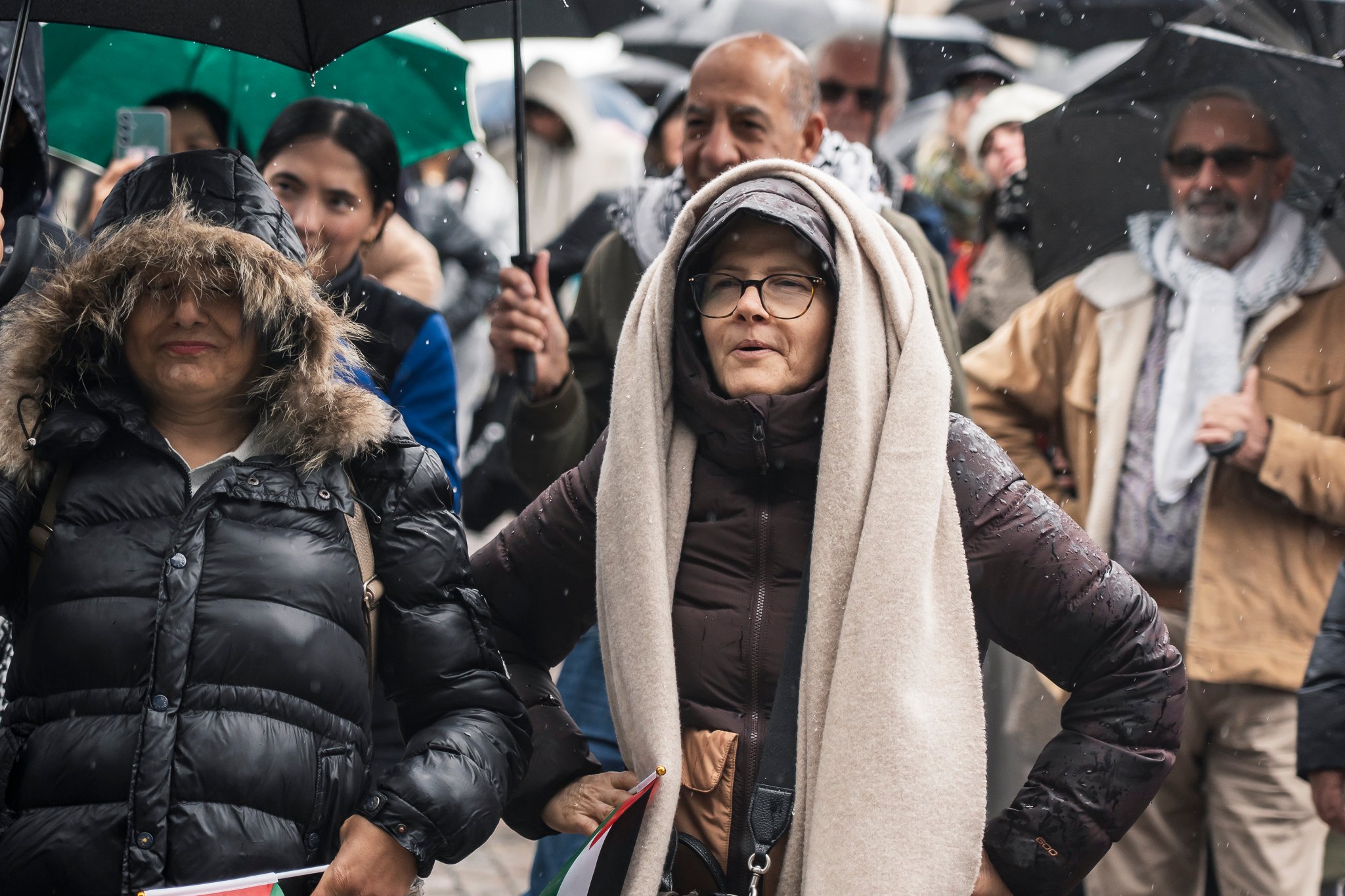 Crowds enjoying the performances at Palestine National Day 2025.