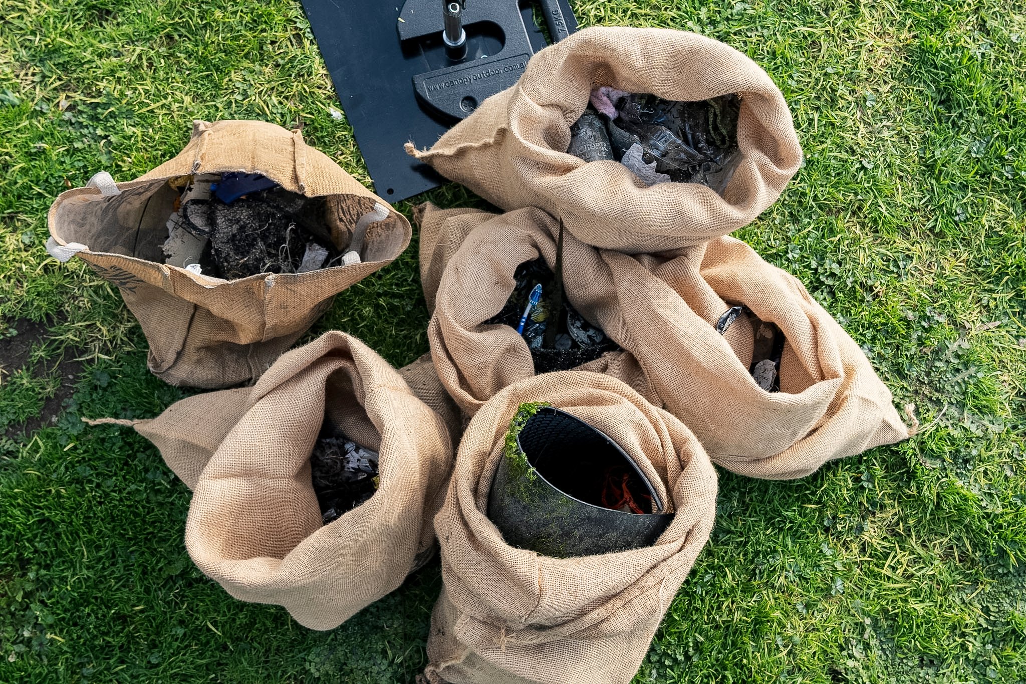 Sarah Mansfield park and beach clean up