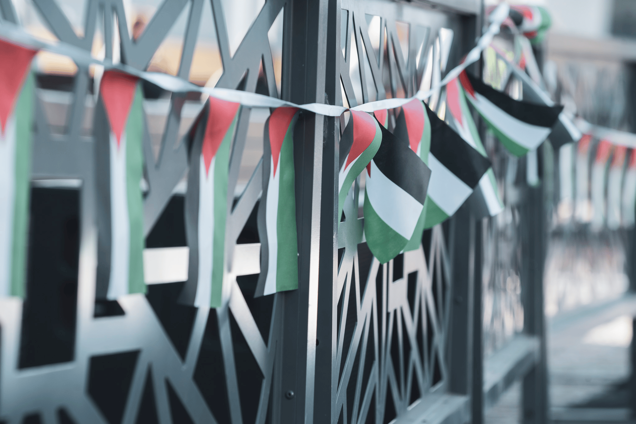 2024 Palestine National Day in Melbourne.