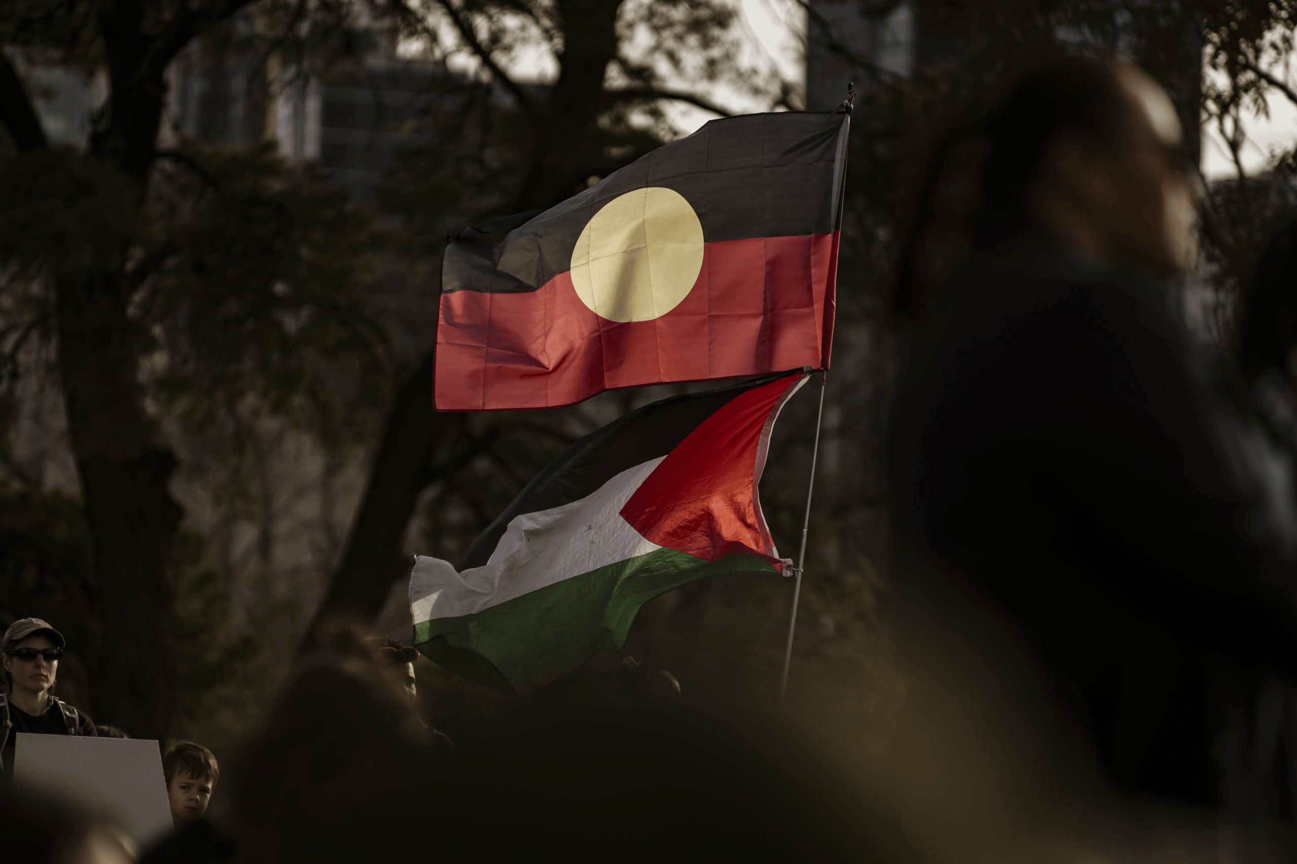 Flags Sovereign Day Out