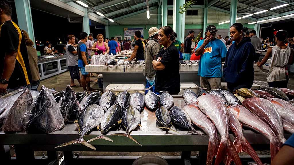 Savalolo Fish Market Interior