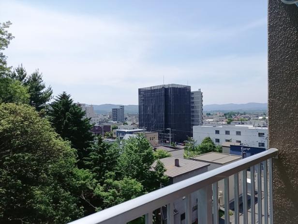 Condo in 9 Jōdōri, Asahikawa – photo 4 of 4 – Asahikawa, Asahikawa, Hokkaido, Japan