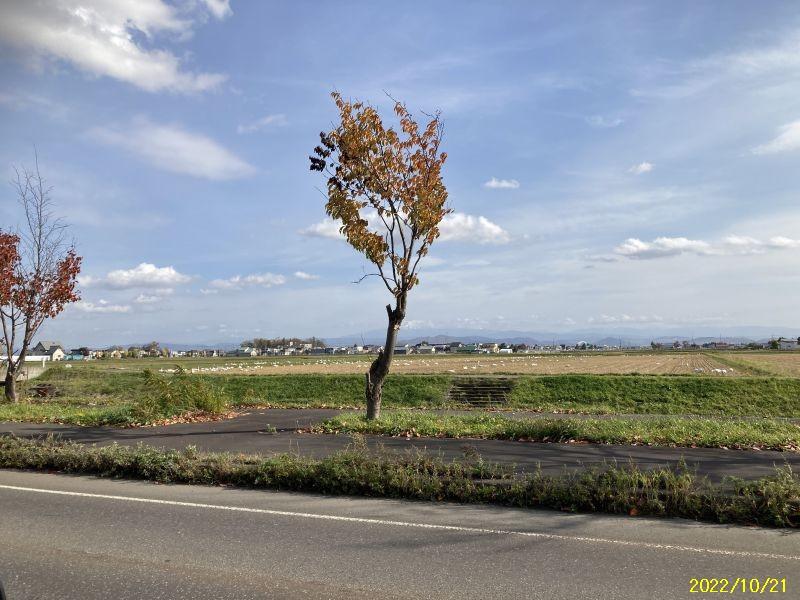 3LDK – 4 rooms Existing House in Kamikawa District, Hokkaido – ¥800,000 – photo 11 of 31 – Hokkaido, Hokkaido, Japan